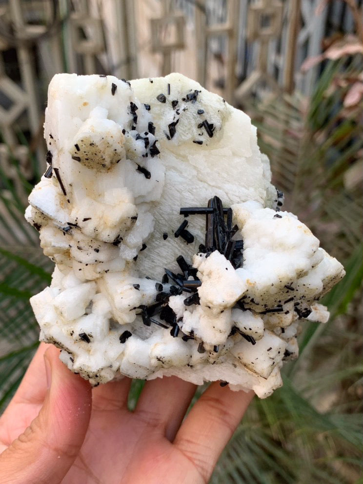 Black Tourmaline Specimen - 587g