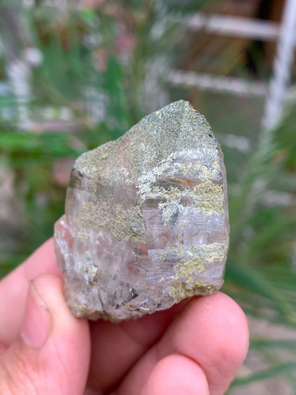 Rutile Quartz Specimen - 35g