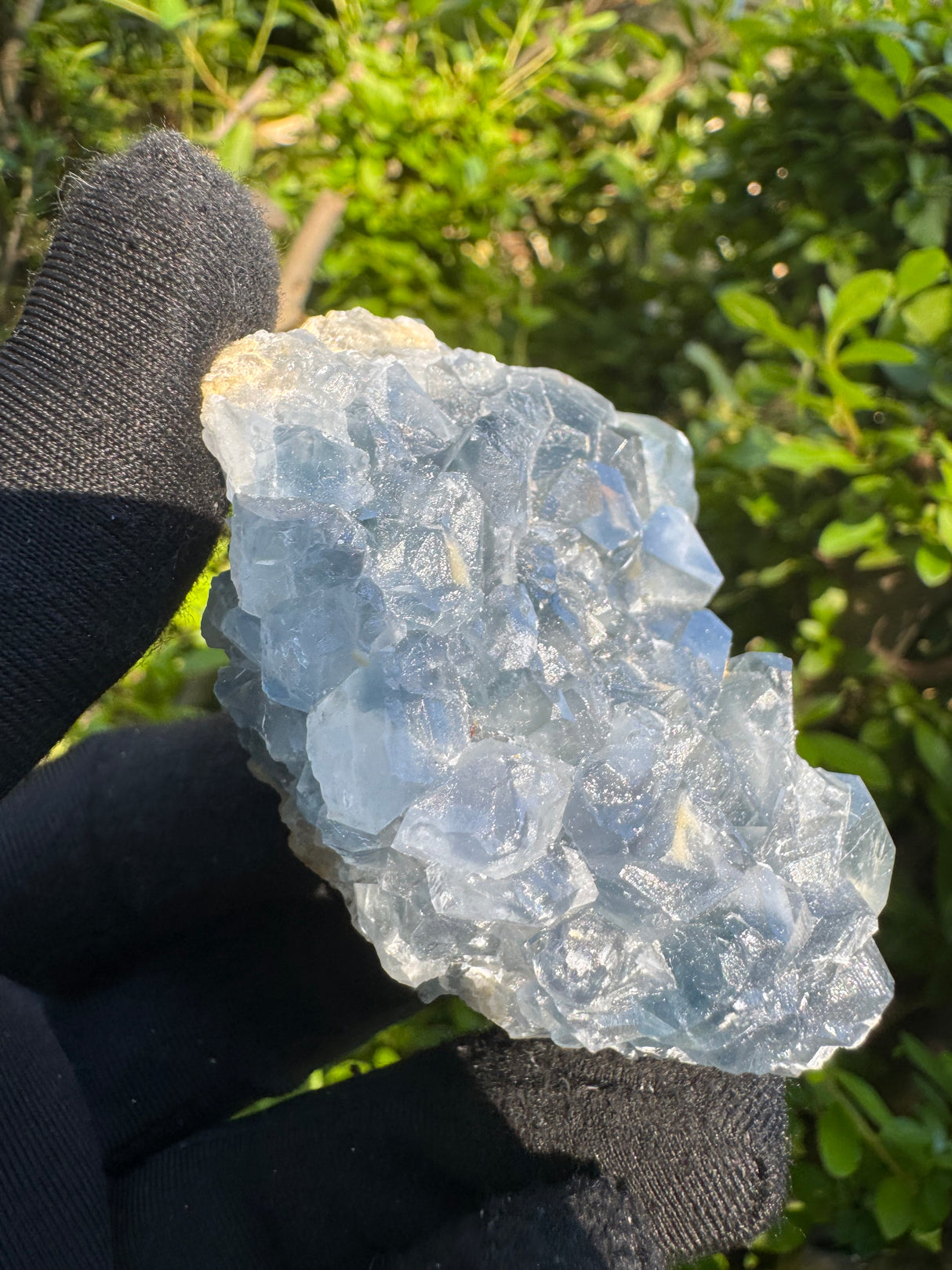 Celestine Specimen - 249g