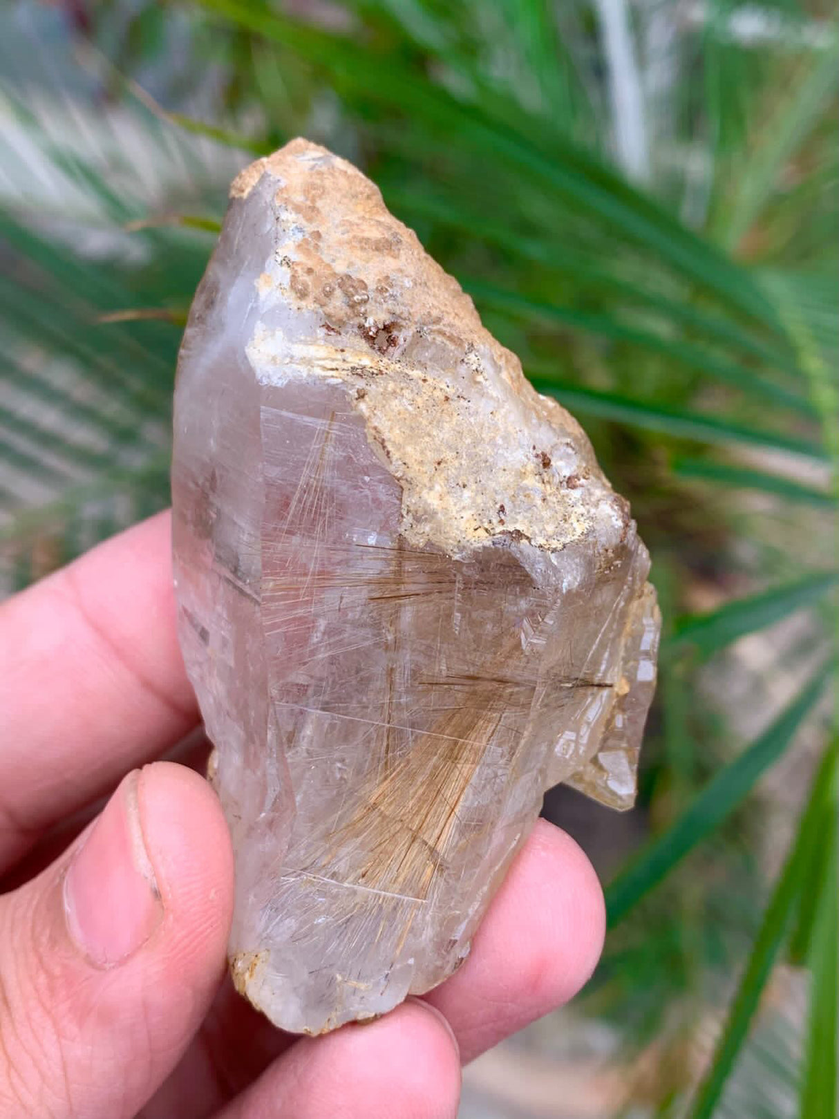Rutile Quartz Specimen - 77g