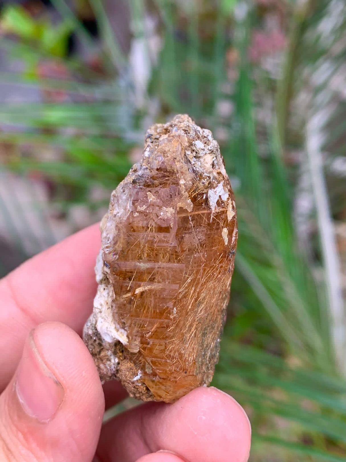 Rutile Quartz Specimen - 32g
