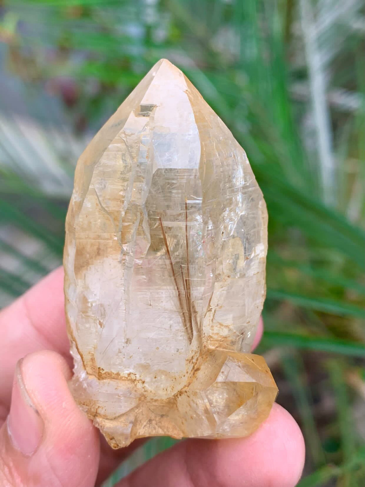 Rutile Quartz Specimen - 60g