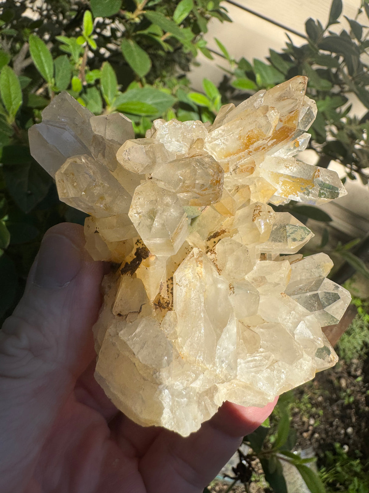 Quartz Crystal Specimen - 62g
