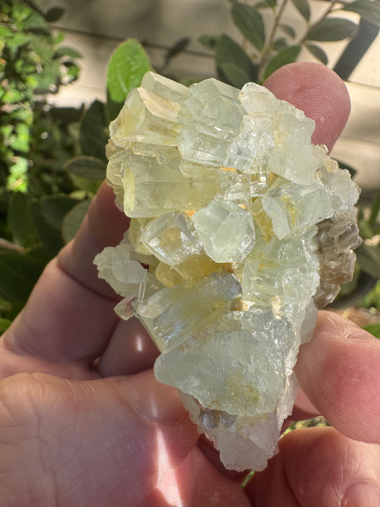 Aquarmarine Specimen - 22g
