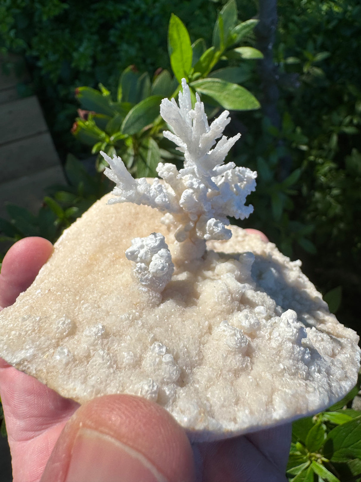 Flower Calcite Specimen - 400g