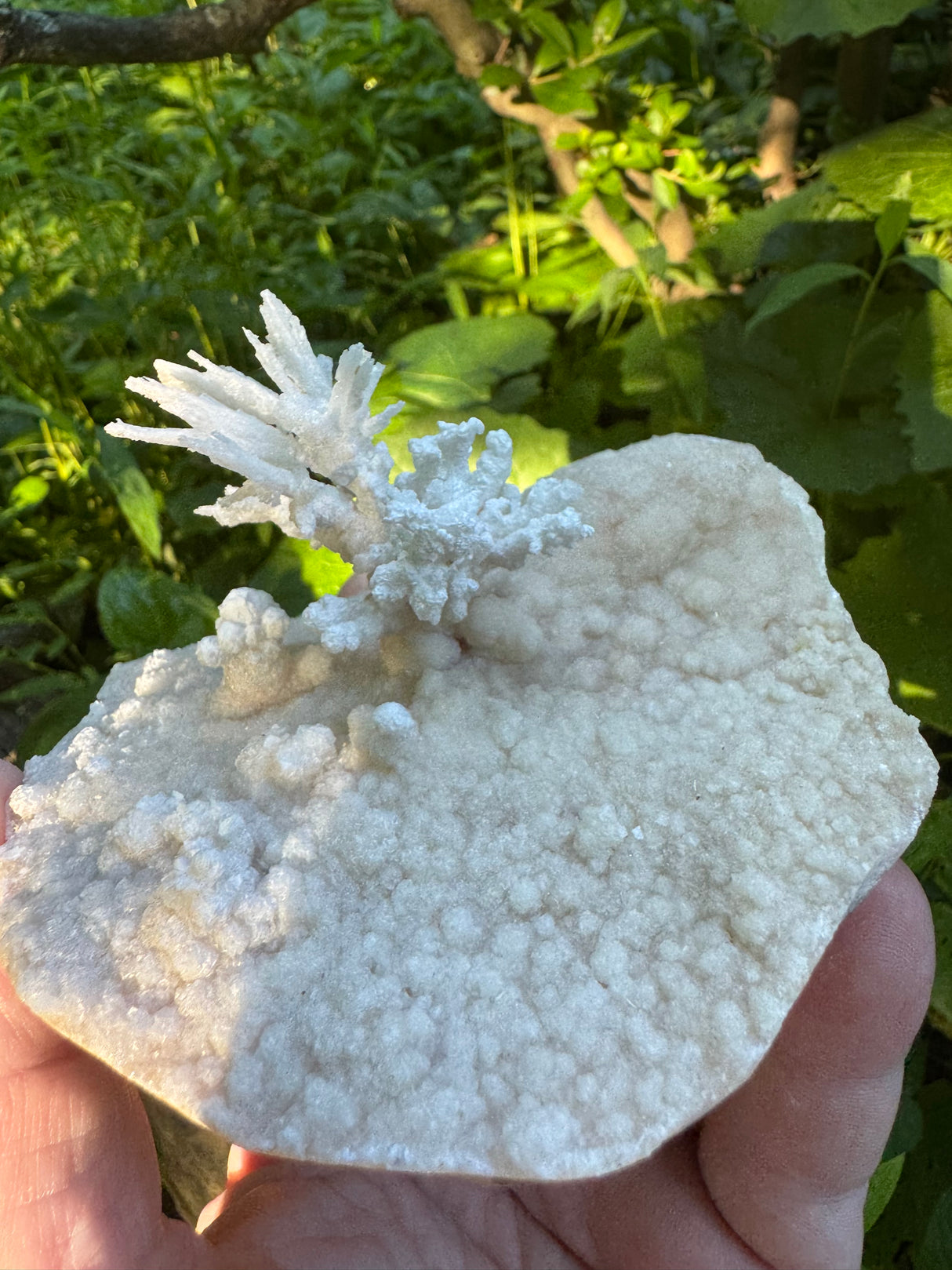 Flower Calcite Specimen - 400g