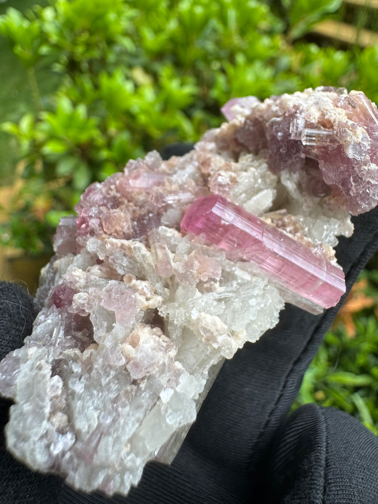 Pink Tourmaline Specimen - 50g