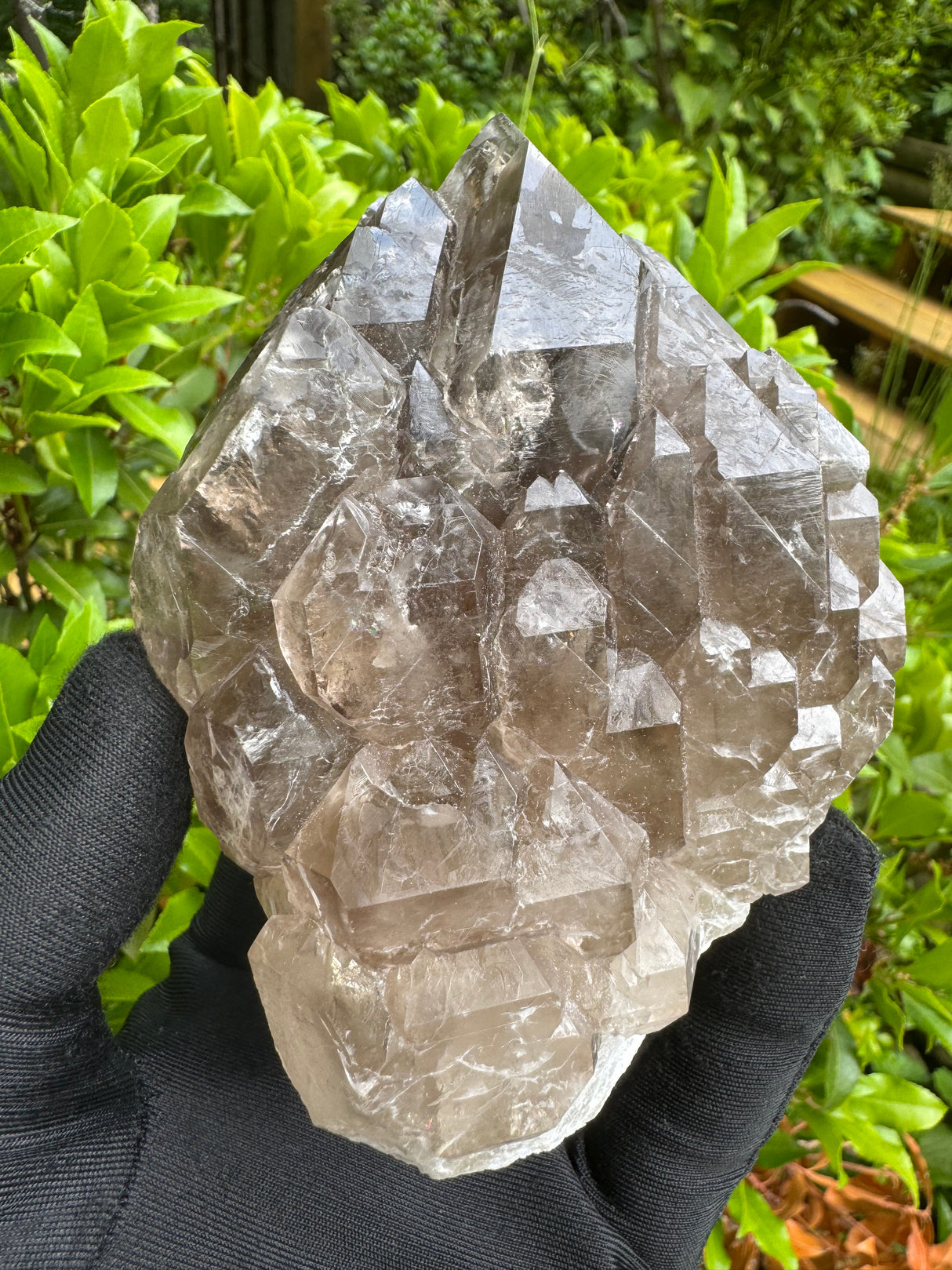 Quartz Specimen - 536g