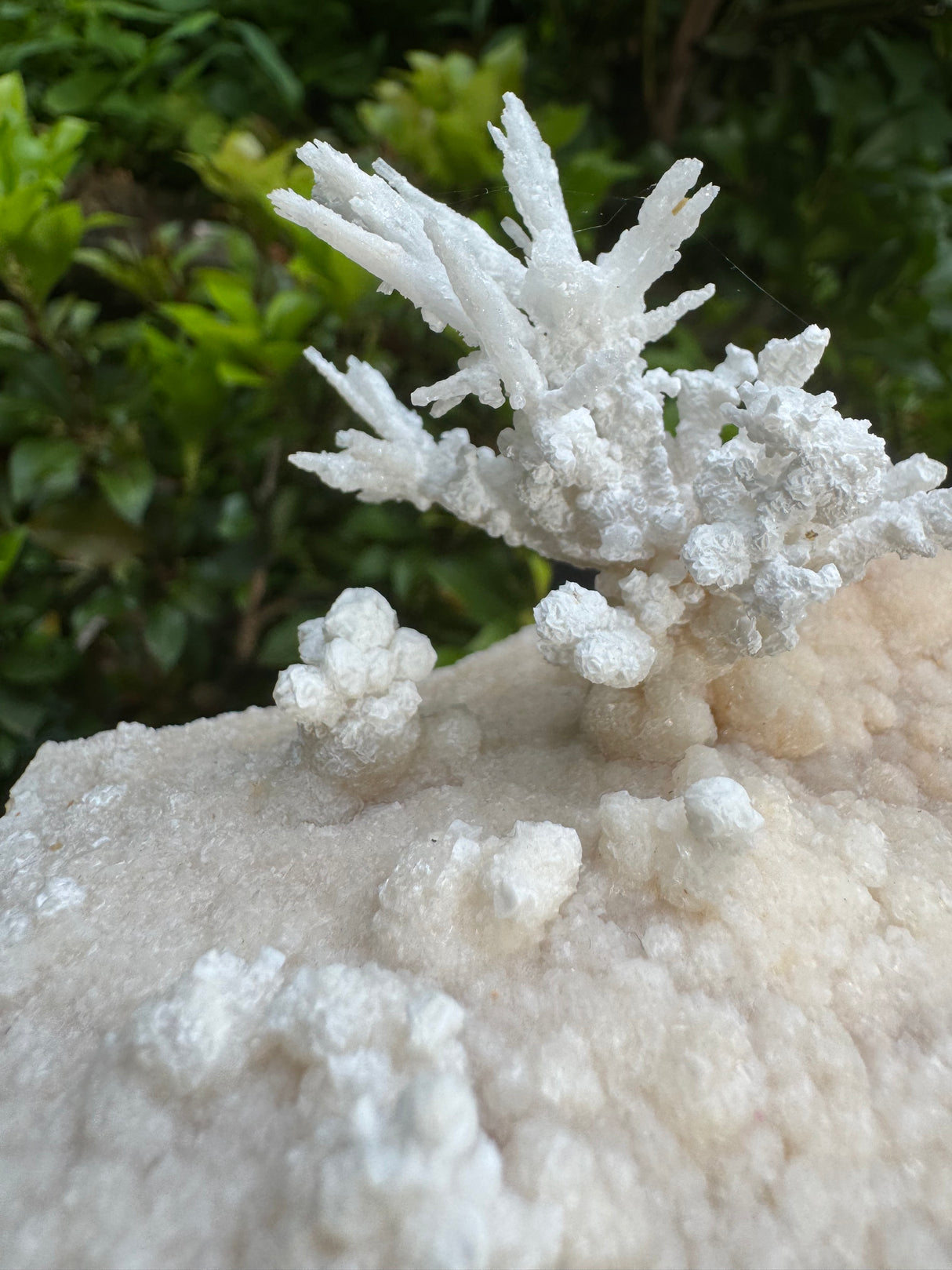 Flower Calcite Specimen - 400g