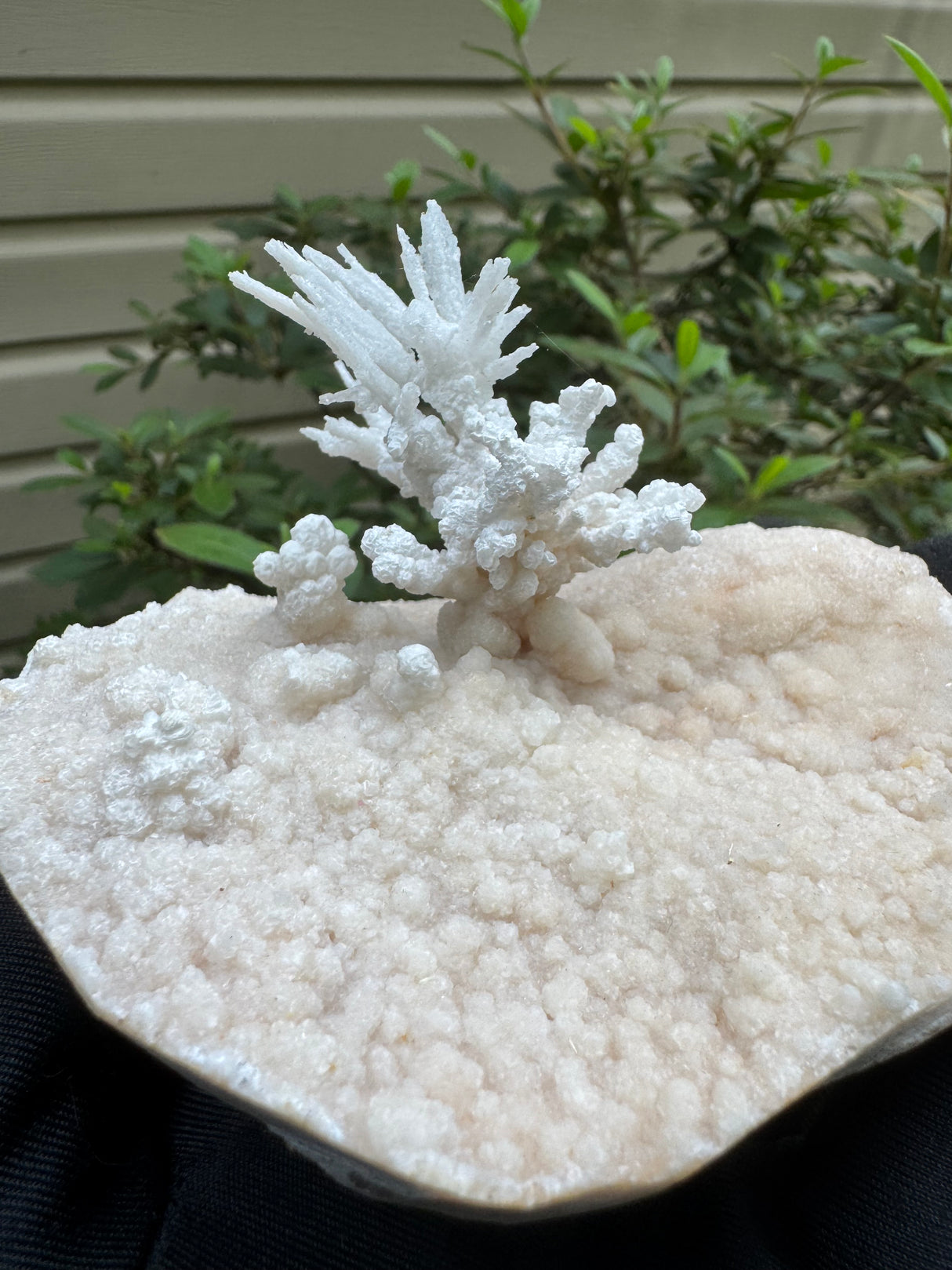 Flower Calcite Specimen - 400g