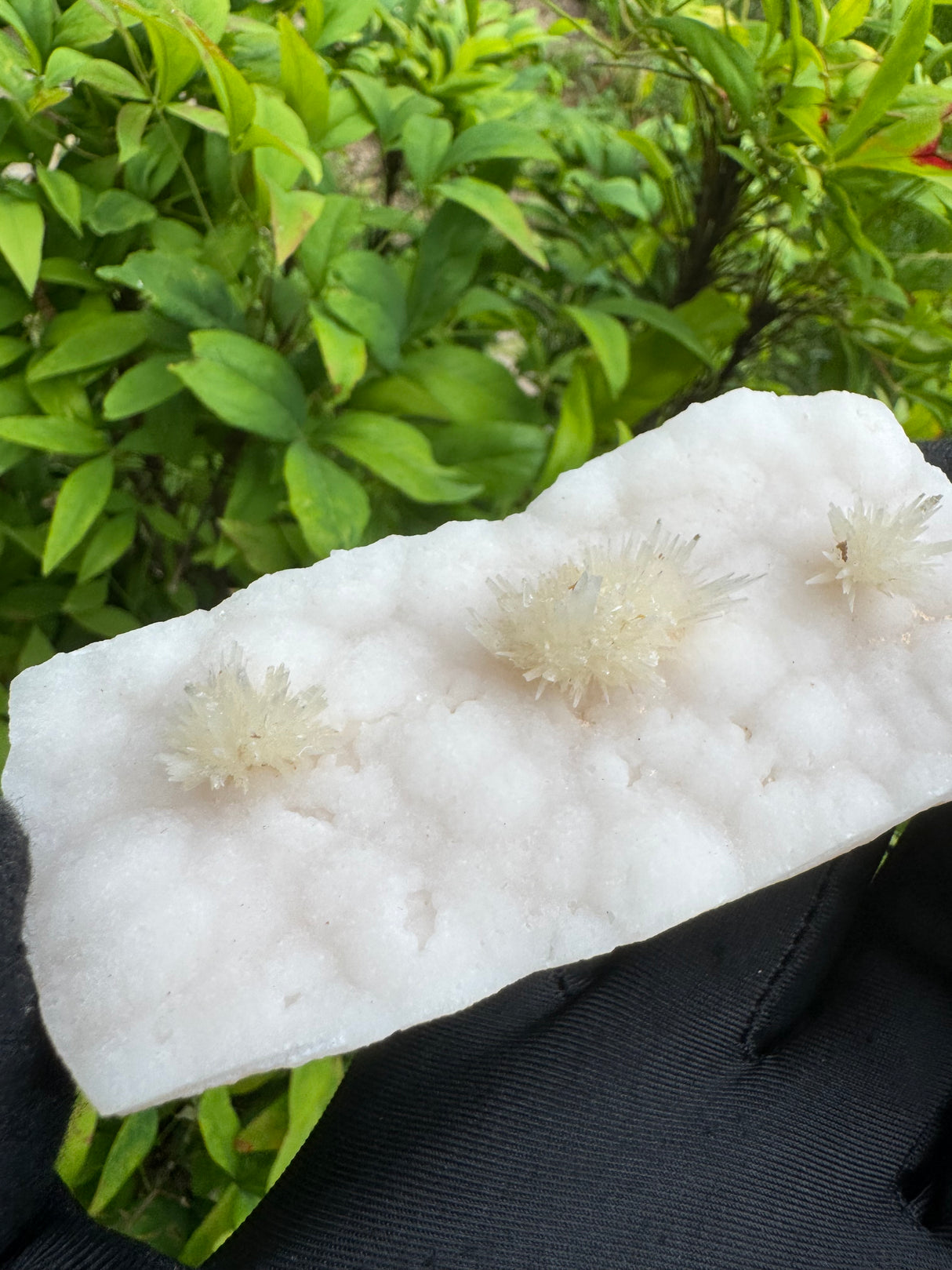 Flower Calcite Specimen - 135g