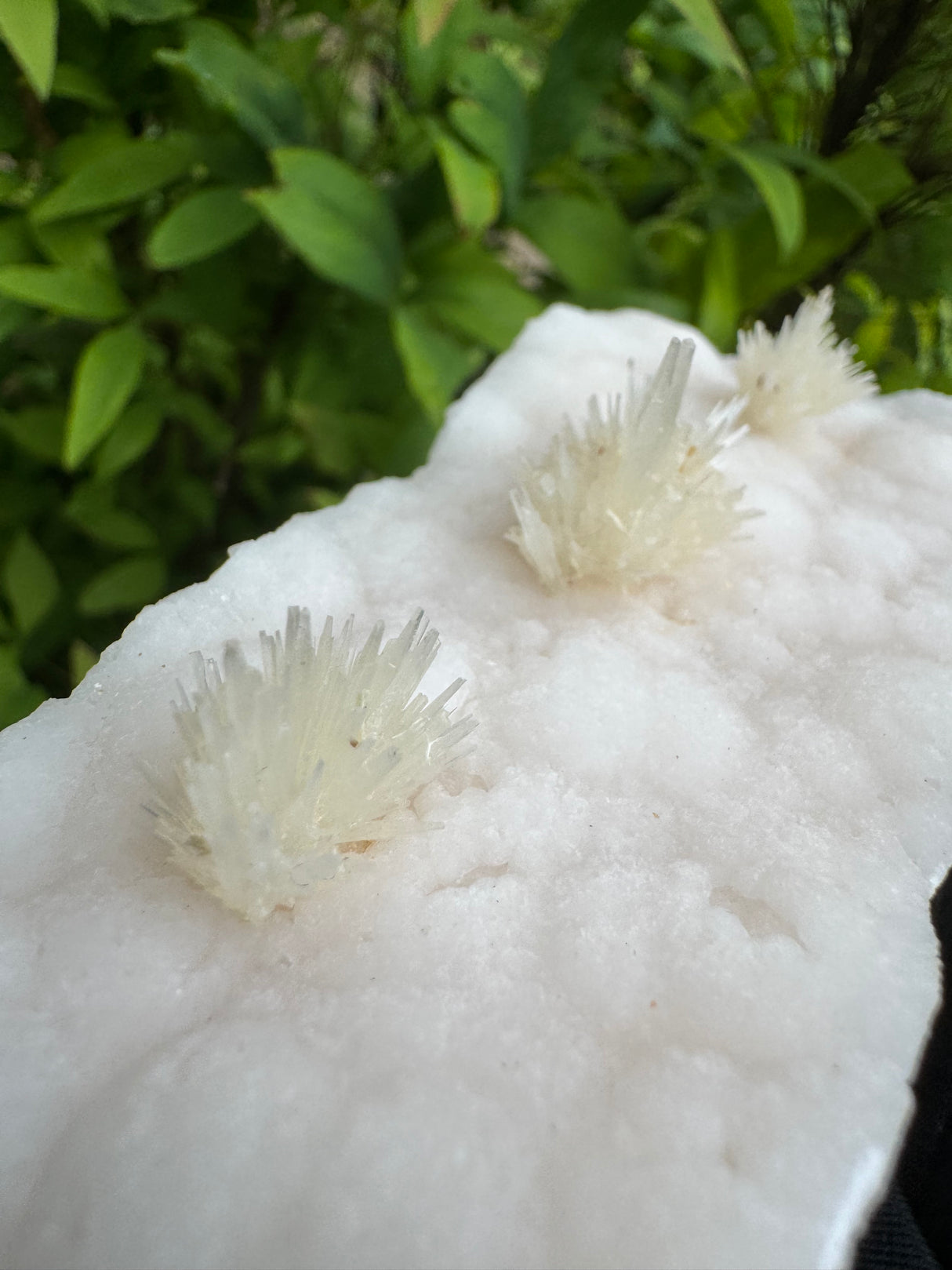 Flower Calcite Specimen - 135g