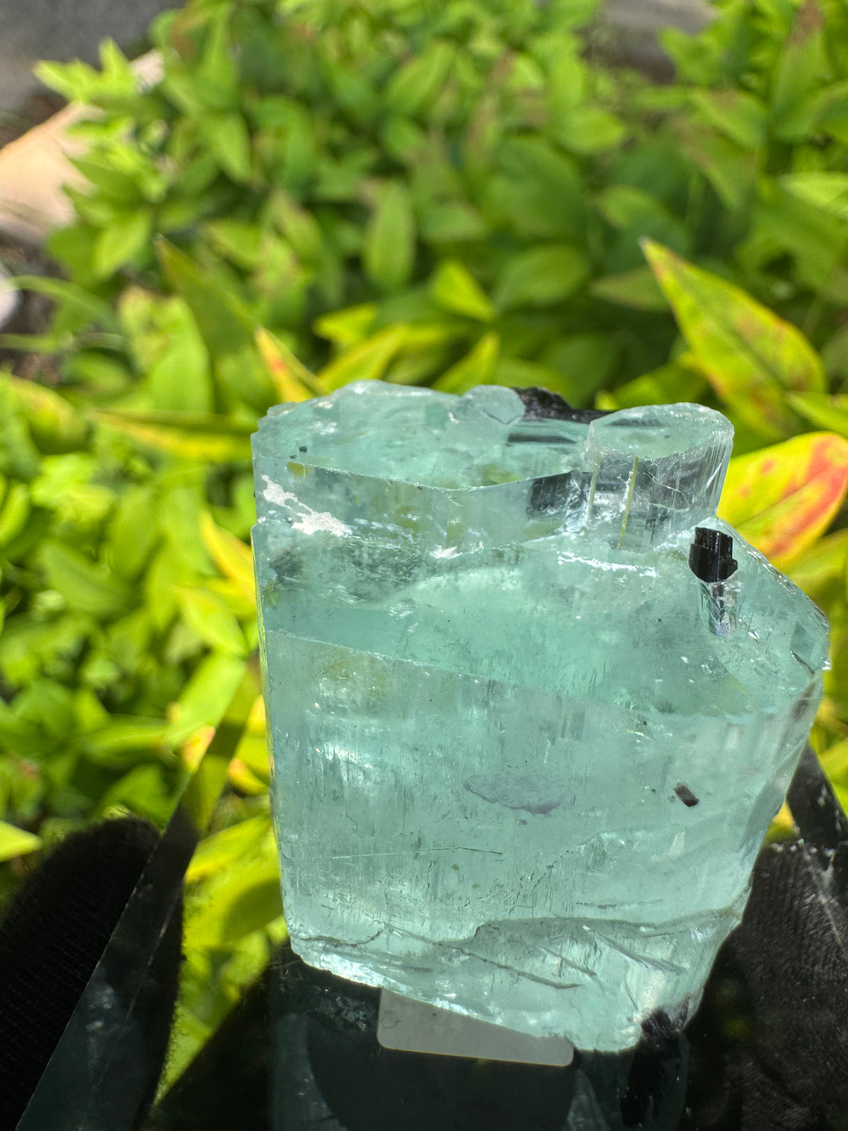 Aquarmarine Crystal - 38g