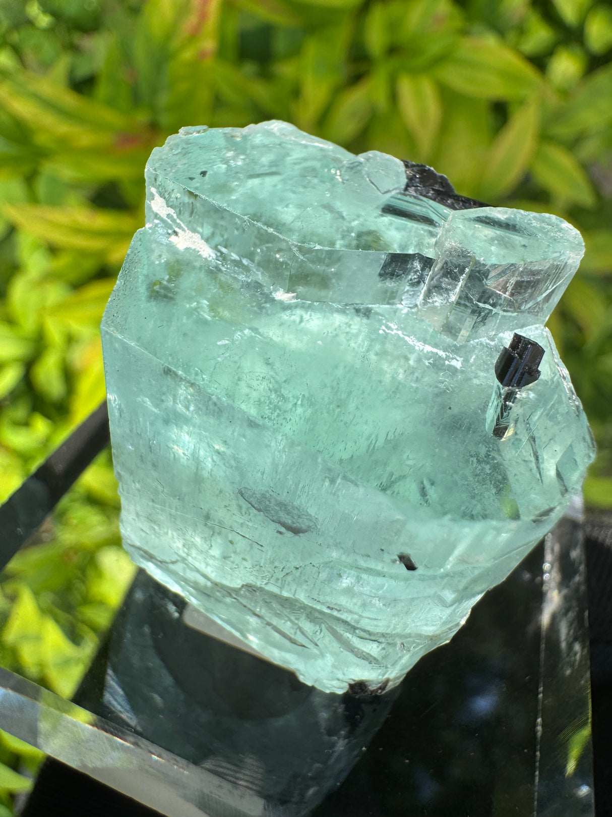 Aquarmarine Crystal - 38g