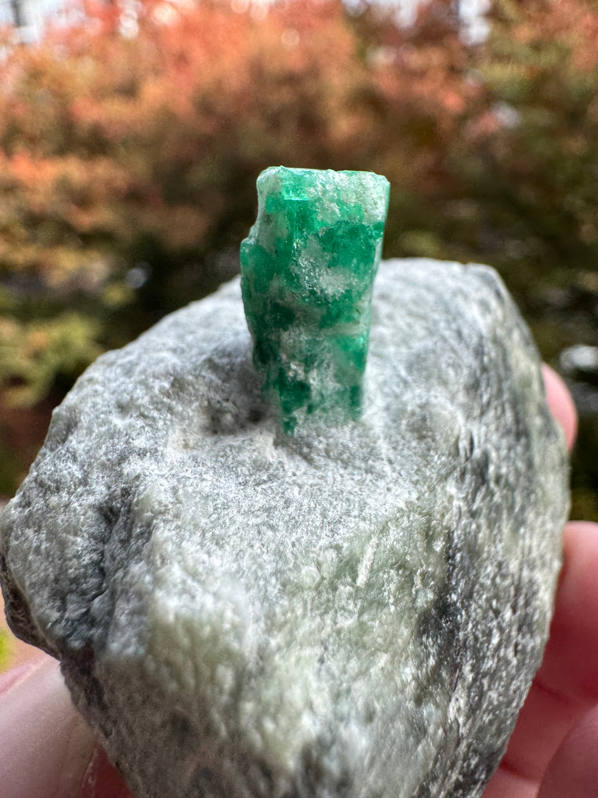Emerald Specimen - 97g