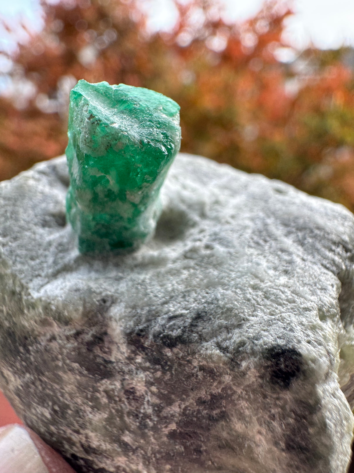 Emerald Specimen - 97g