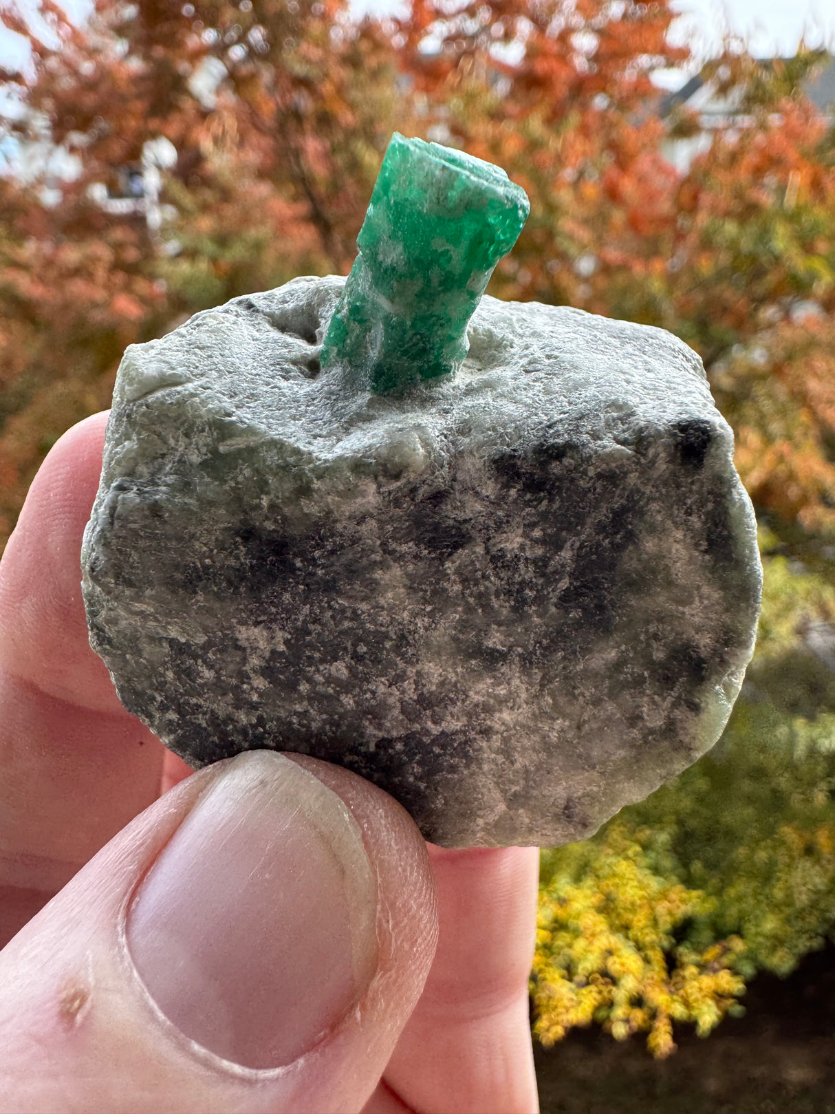 Emerald Specimen - 97g