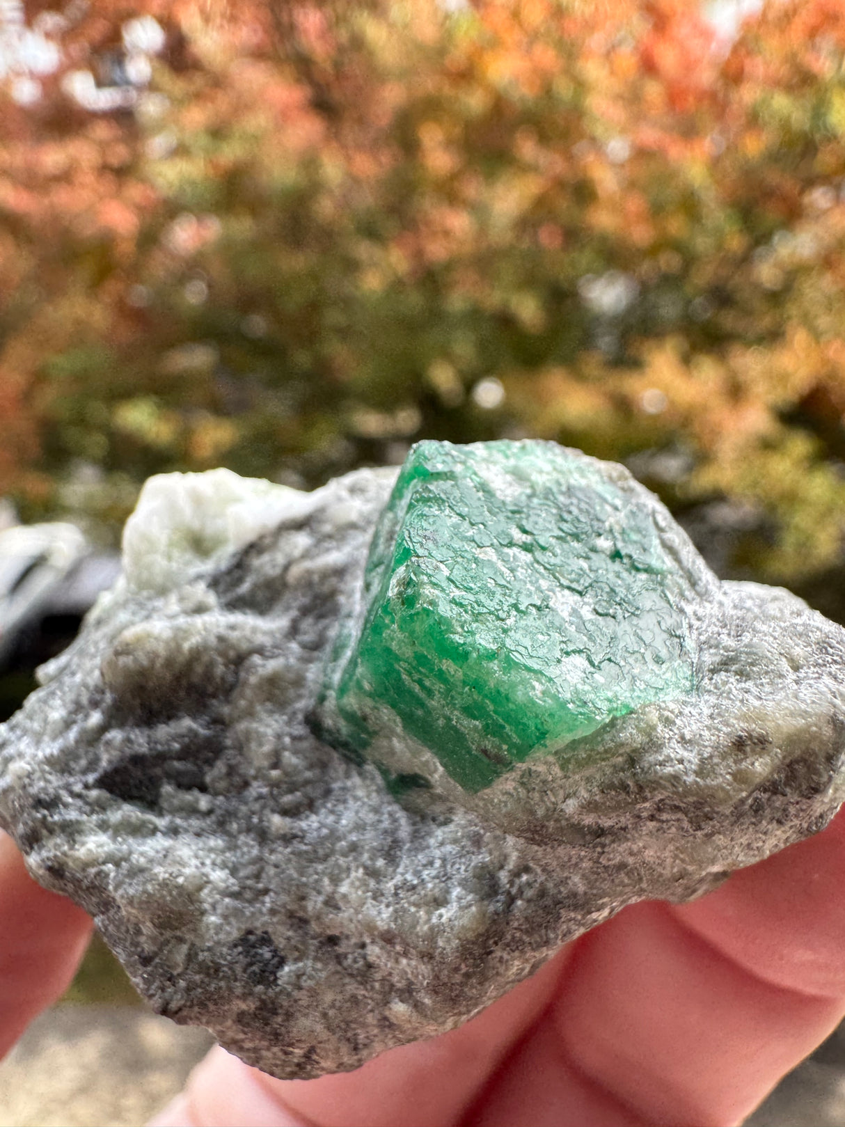 Emerald Specimen - 71g