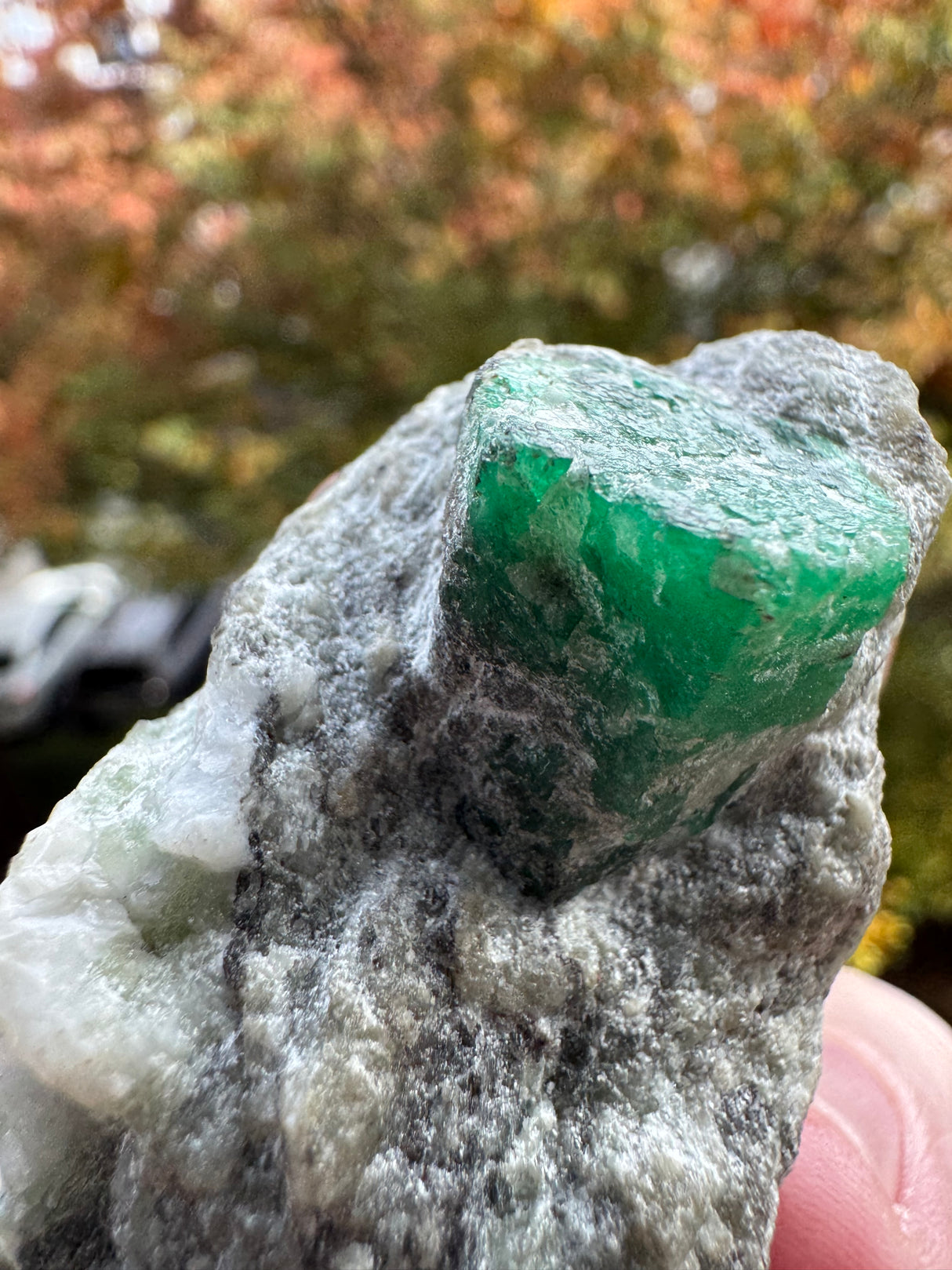Emerald Specimen - 71g