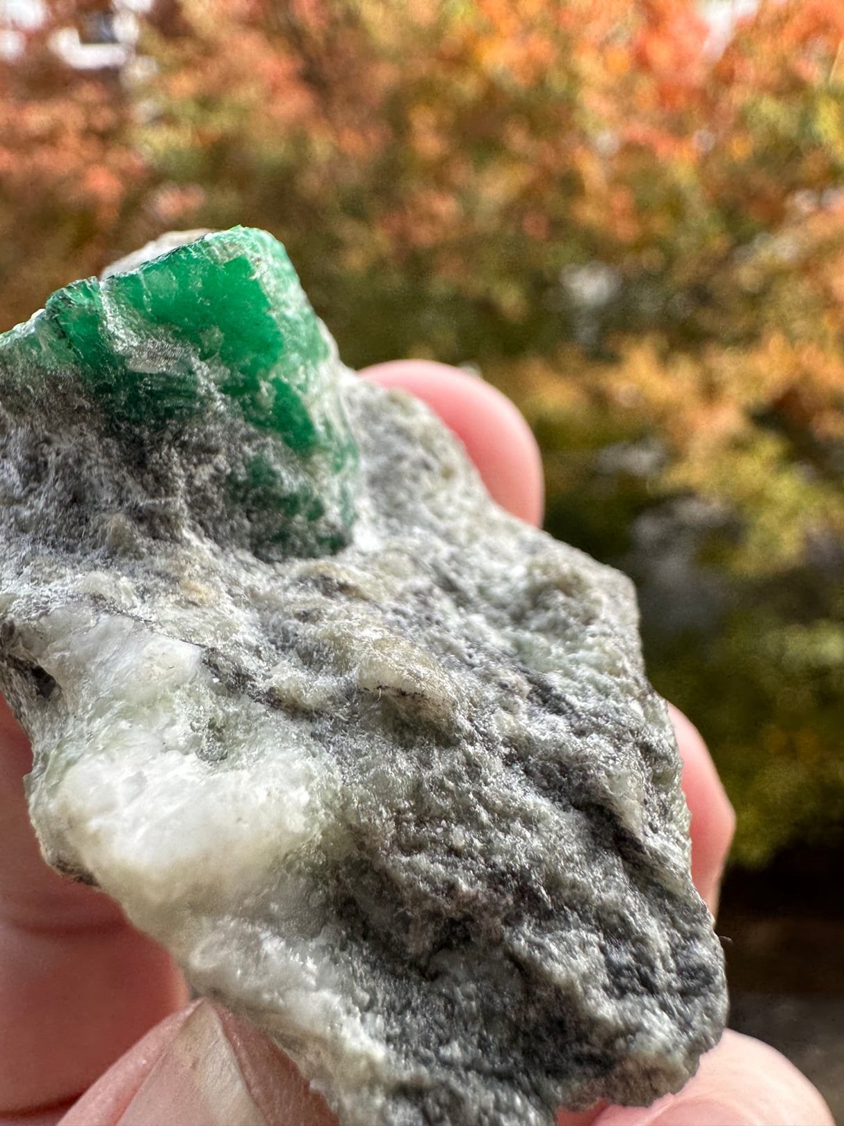 Emerald Specimen - 71g