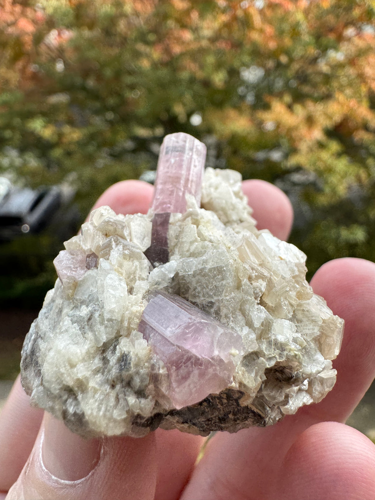 Pink Tourmaline Speicmen - 66g