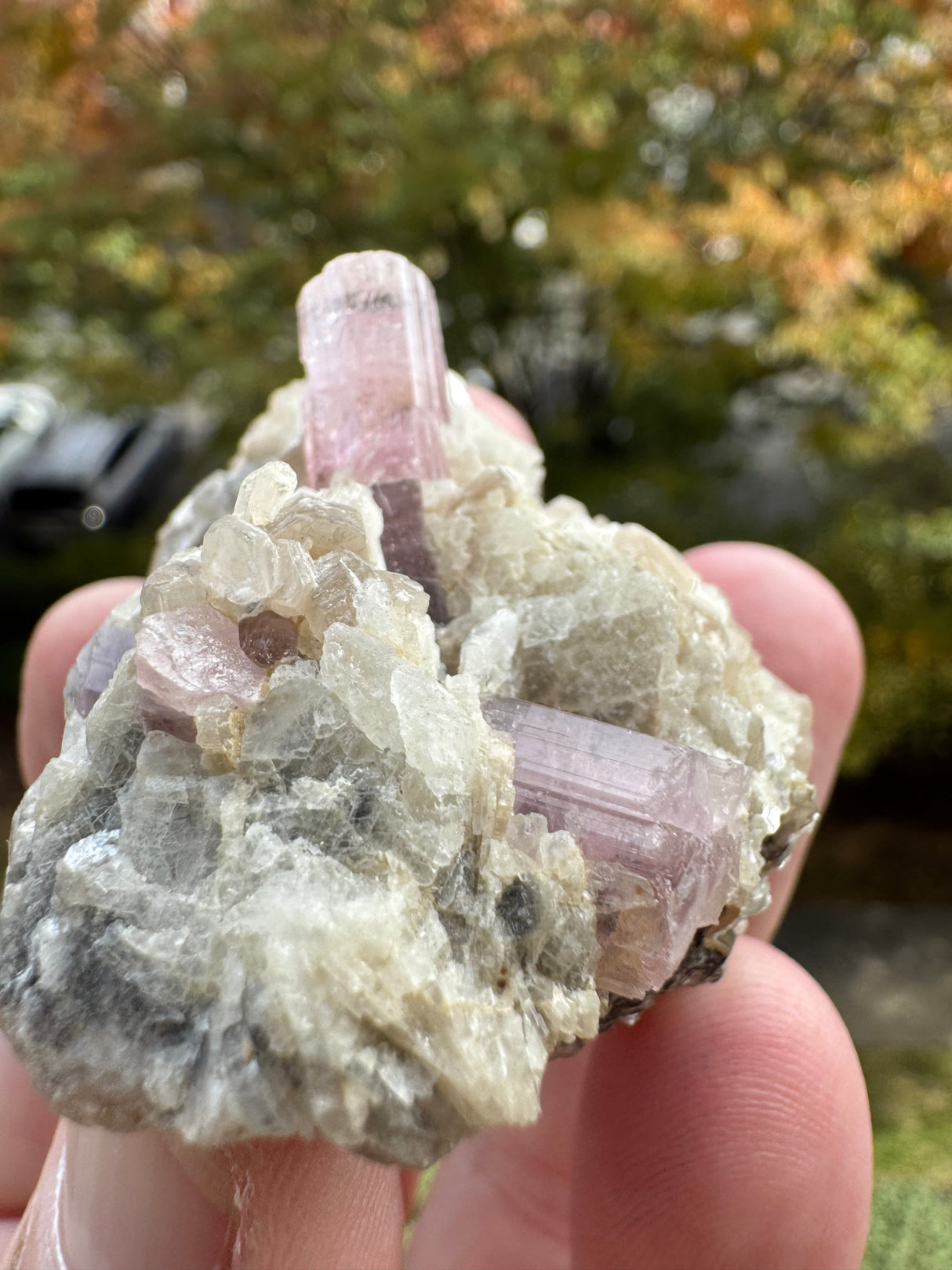 Pink Tourmaline Speicmen - 66g