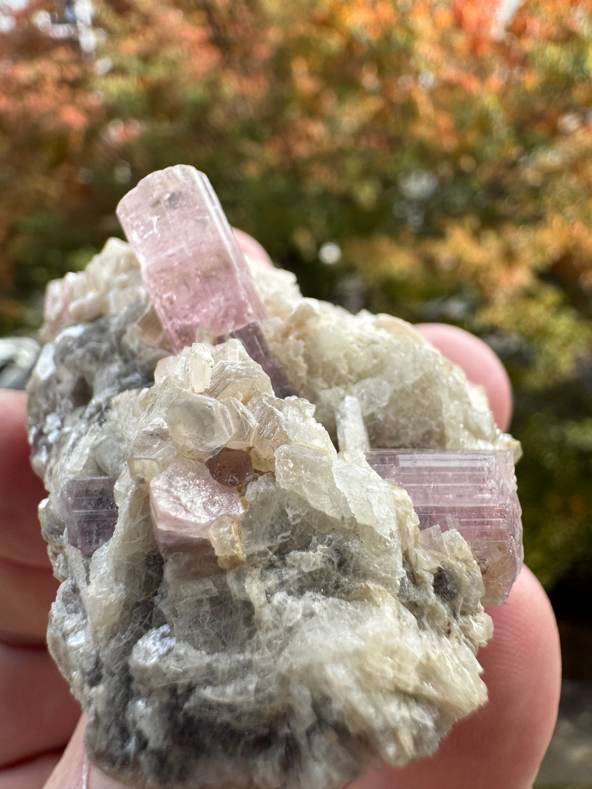 Pink Tourmaline Speicmen - 66g