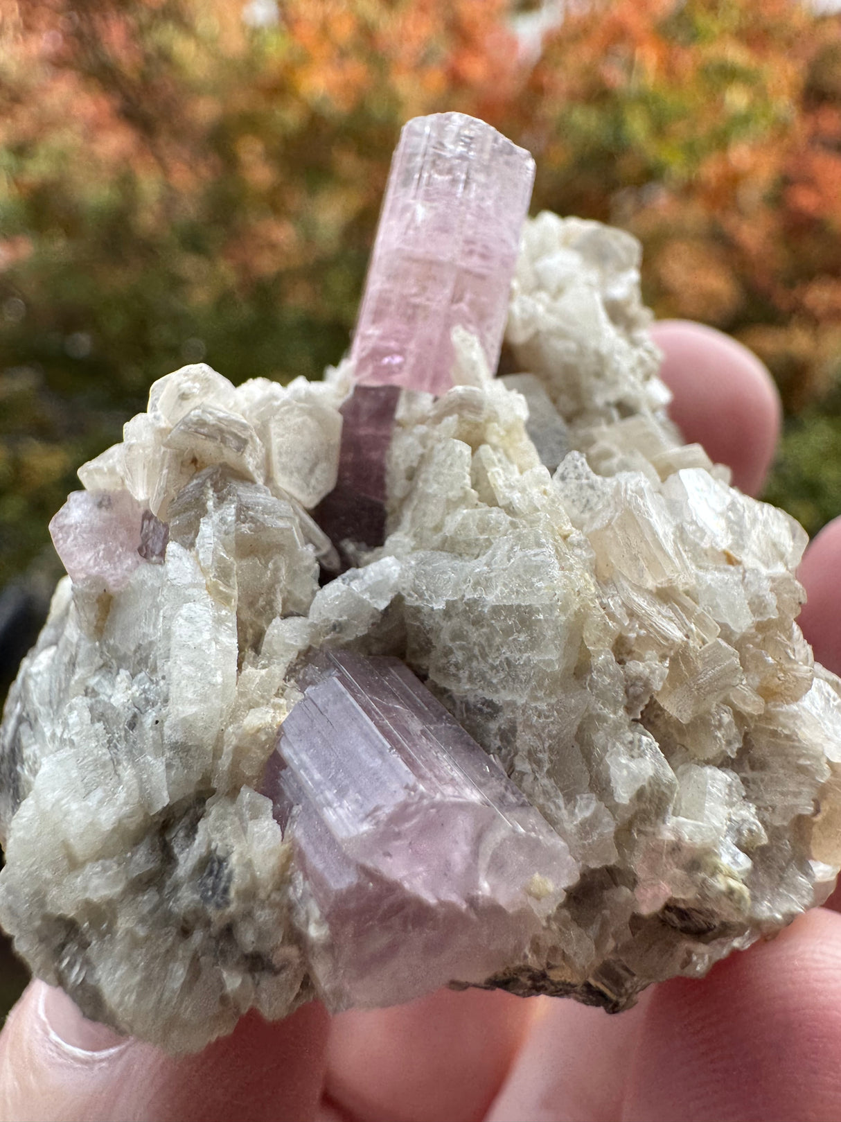 Pink Tourmaline Speicmen - 66g