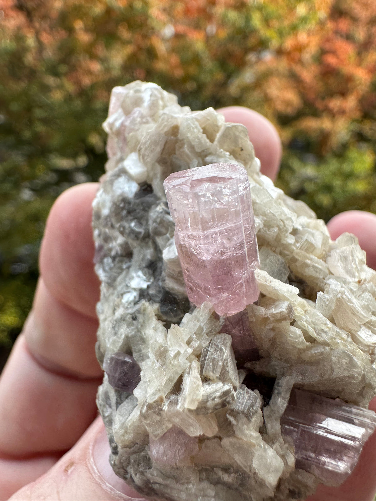 Pink Tourmaline Speicmen - 66g
