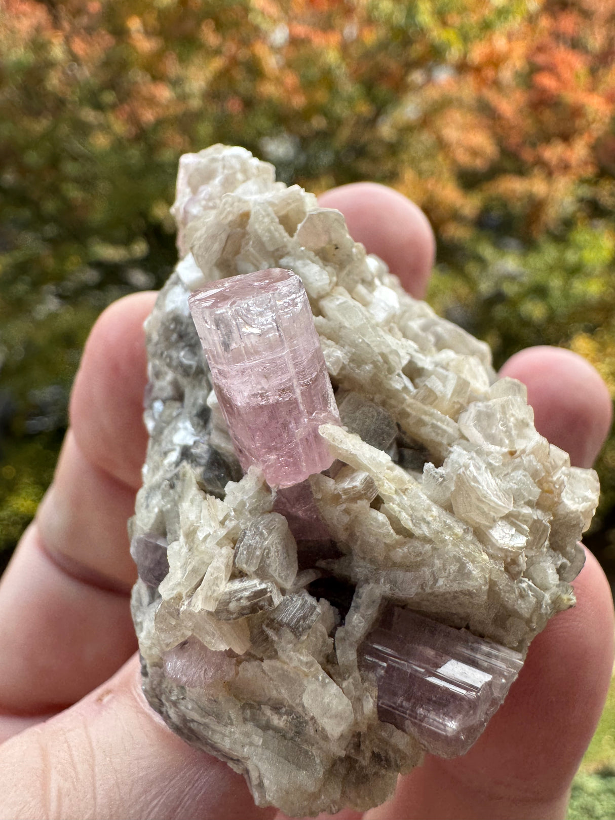 Pink Tourmaline Speicmen - 66g