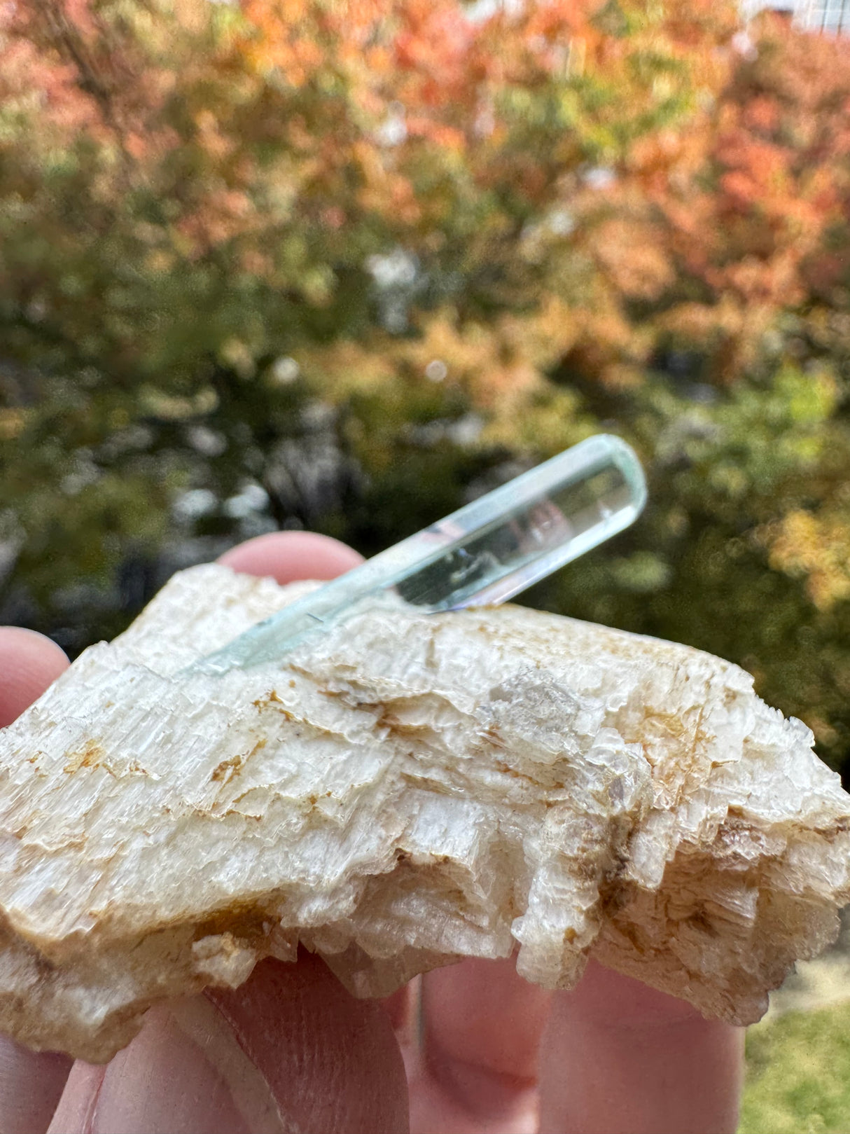 Aquamarine Specimen - 29g