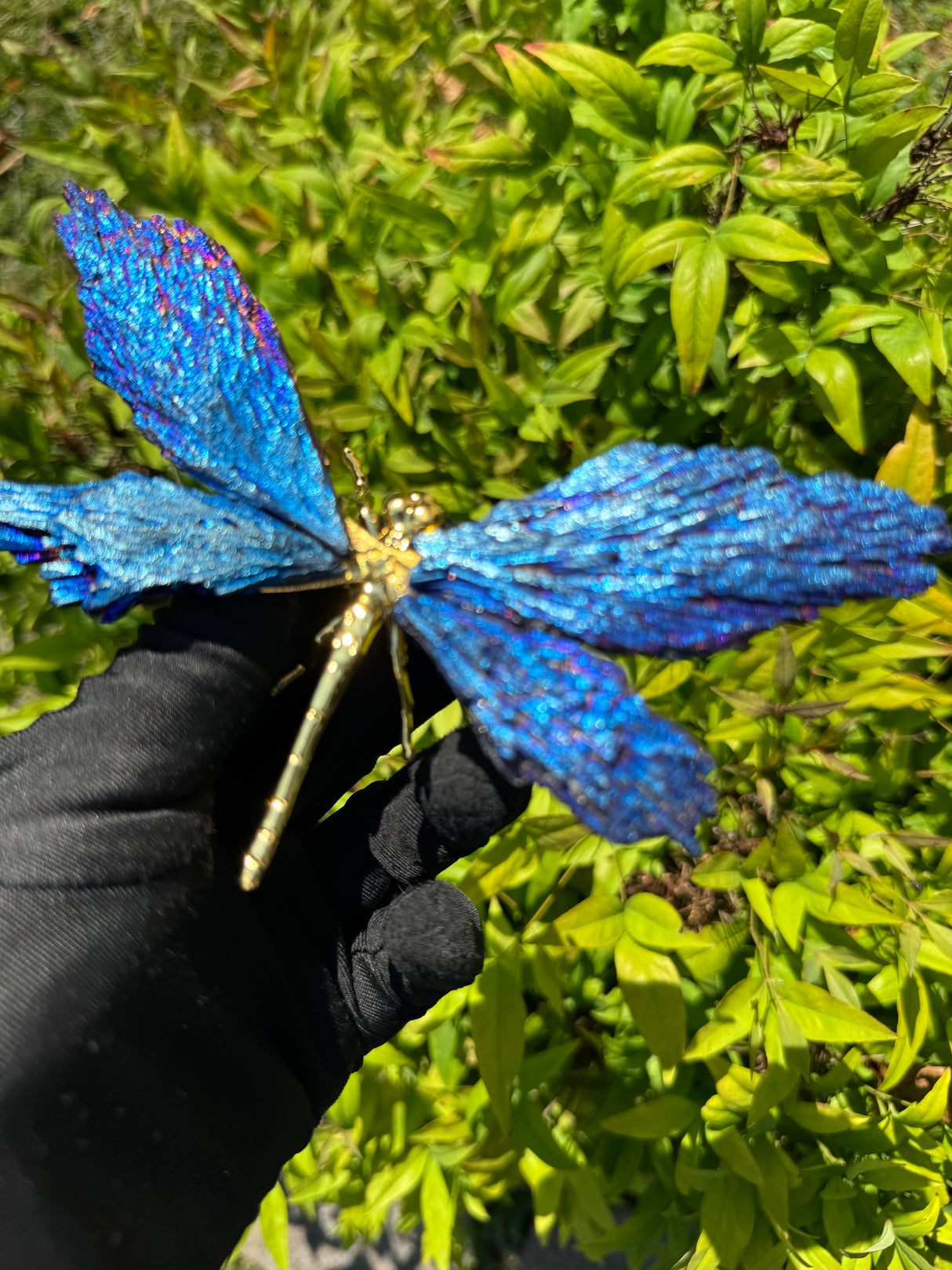 Aura Kyanite Butterfly - Sold Individually