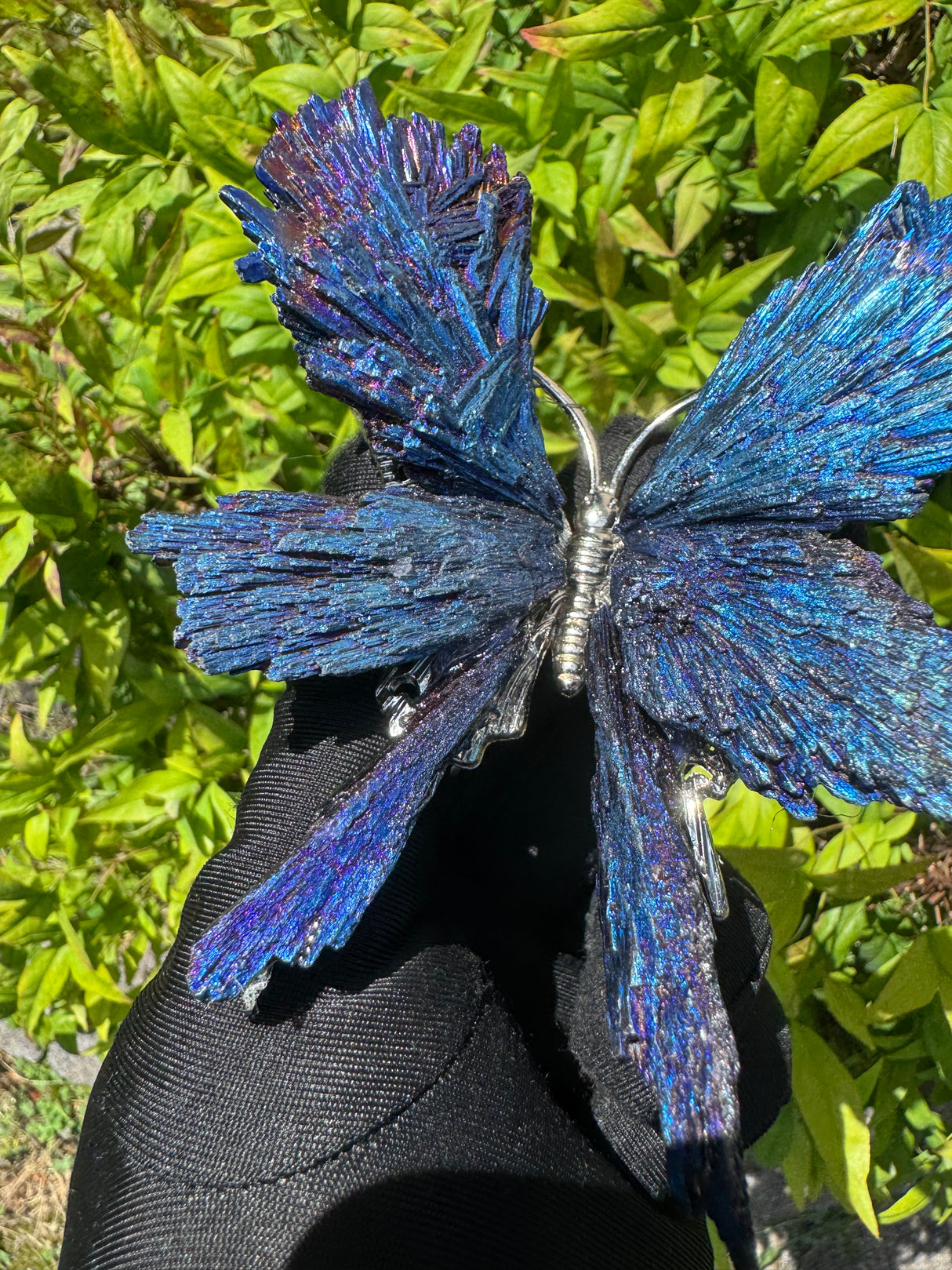 Aura Kyanite Butterfly Type II - Sold Individually