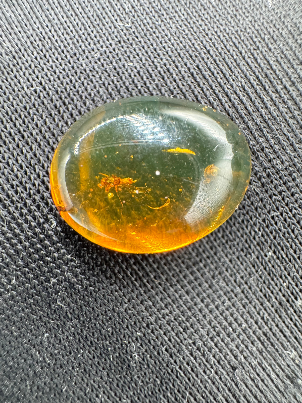 Amber Cabochon - 0.520g