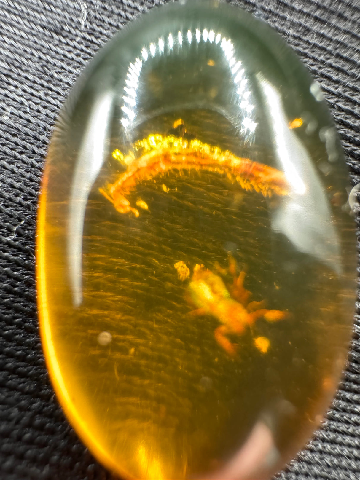 Amber Cabochon - 1.526g