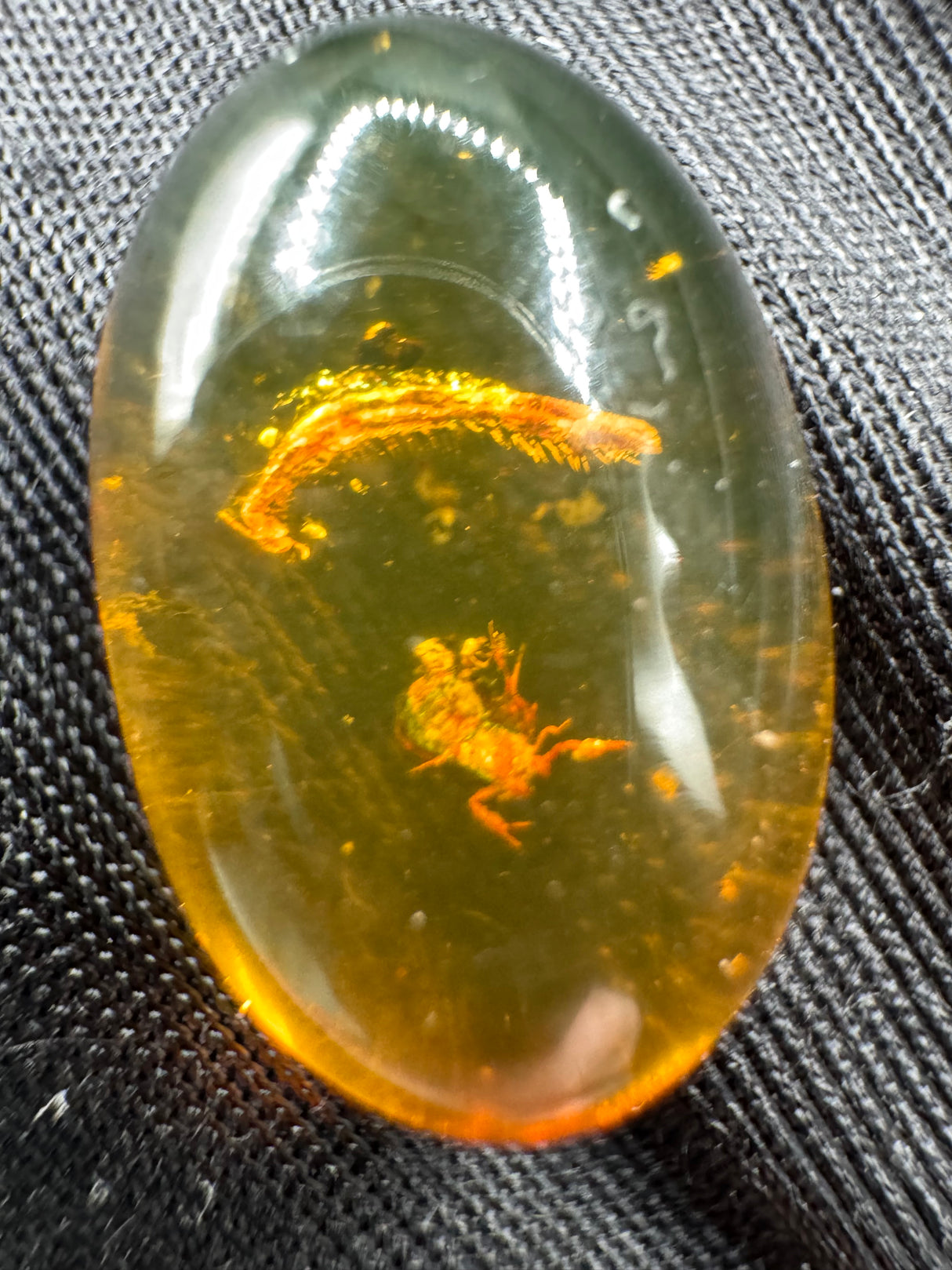 Amber Cabochon - 1.526g
