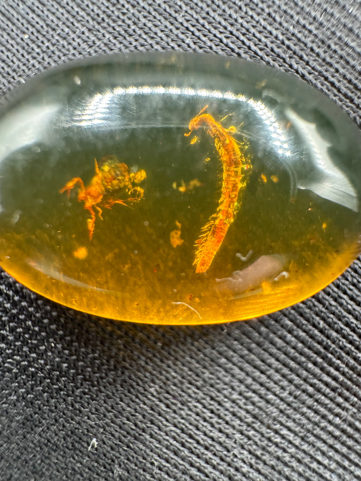 Amber Cabochon - 1.526g