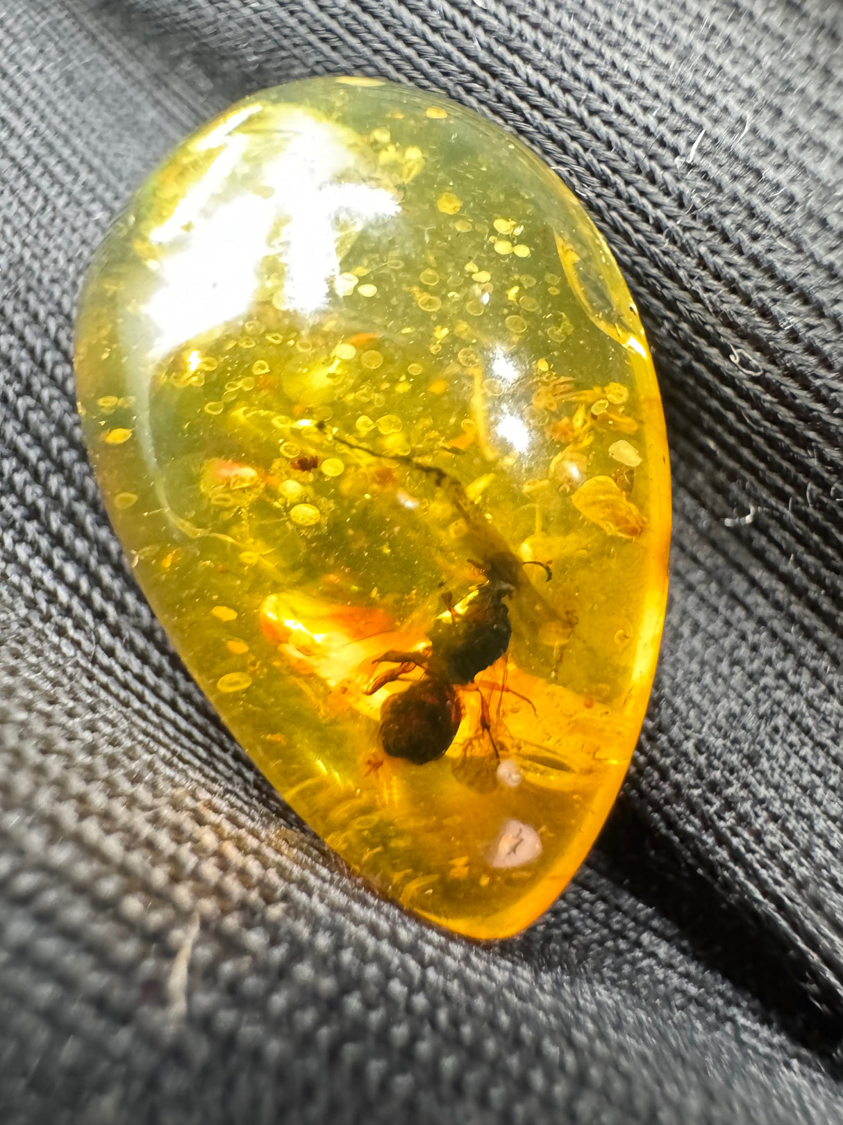 Amber Cabochon - 1.239g