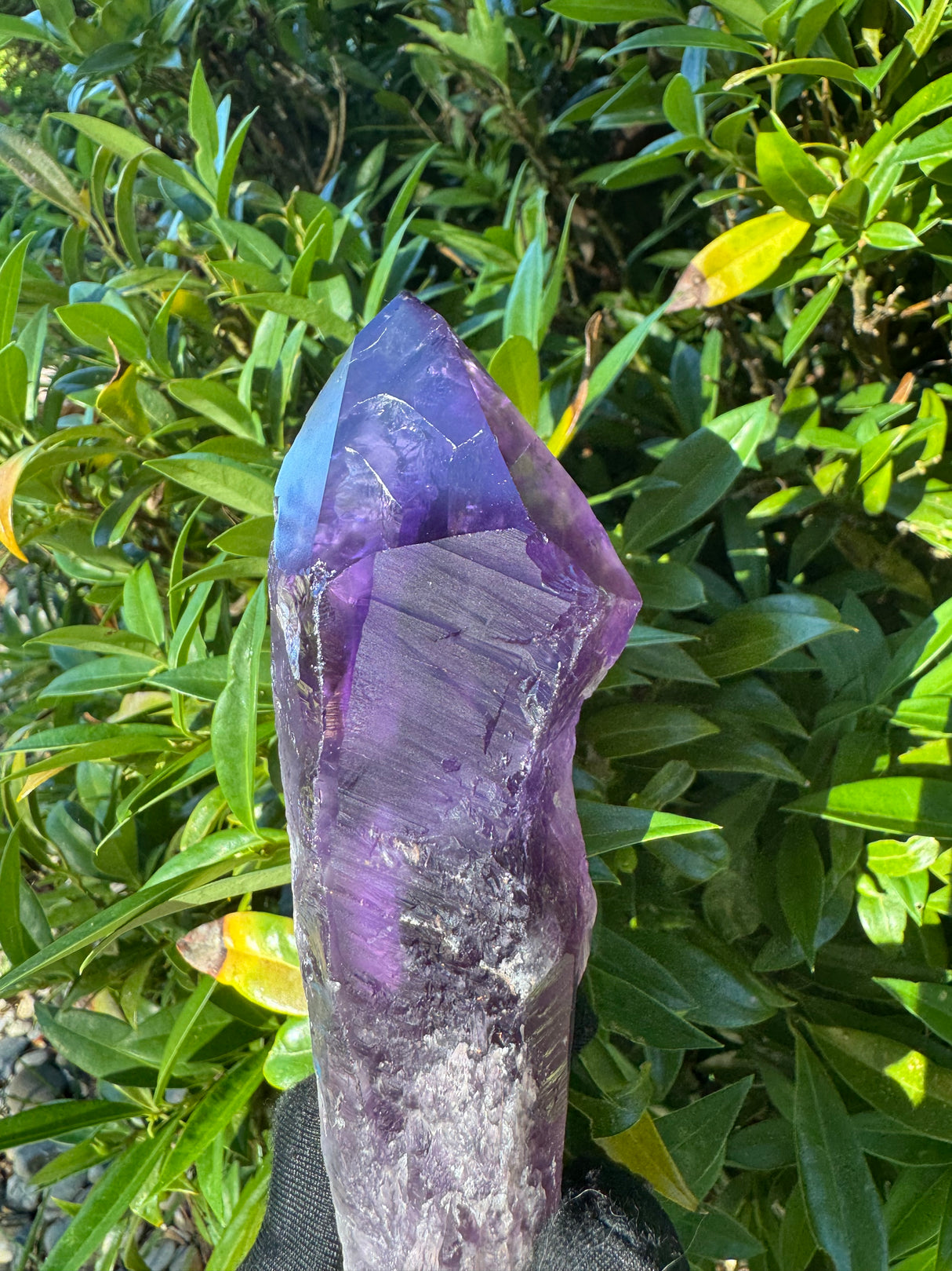 Amethyst Root Specimen - 56g