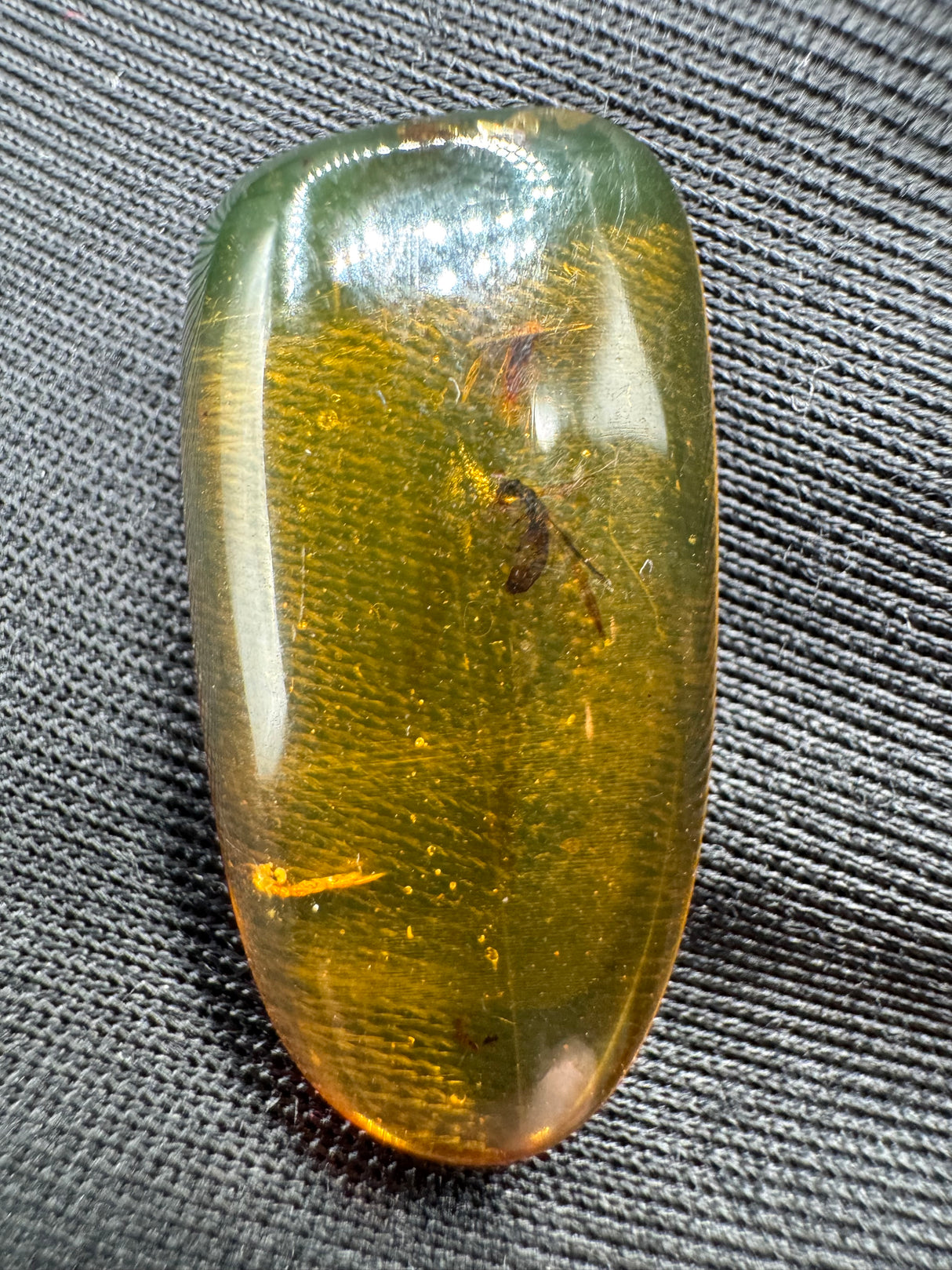 Amber Cabochon - 1.707g