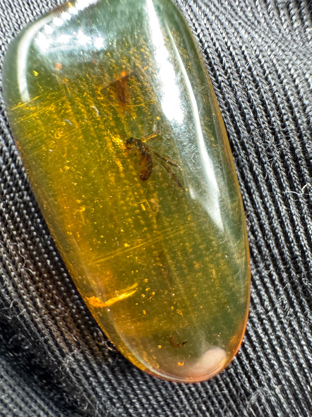 Amber Cabochon - 1.707g