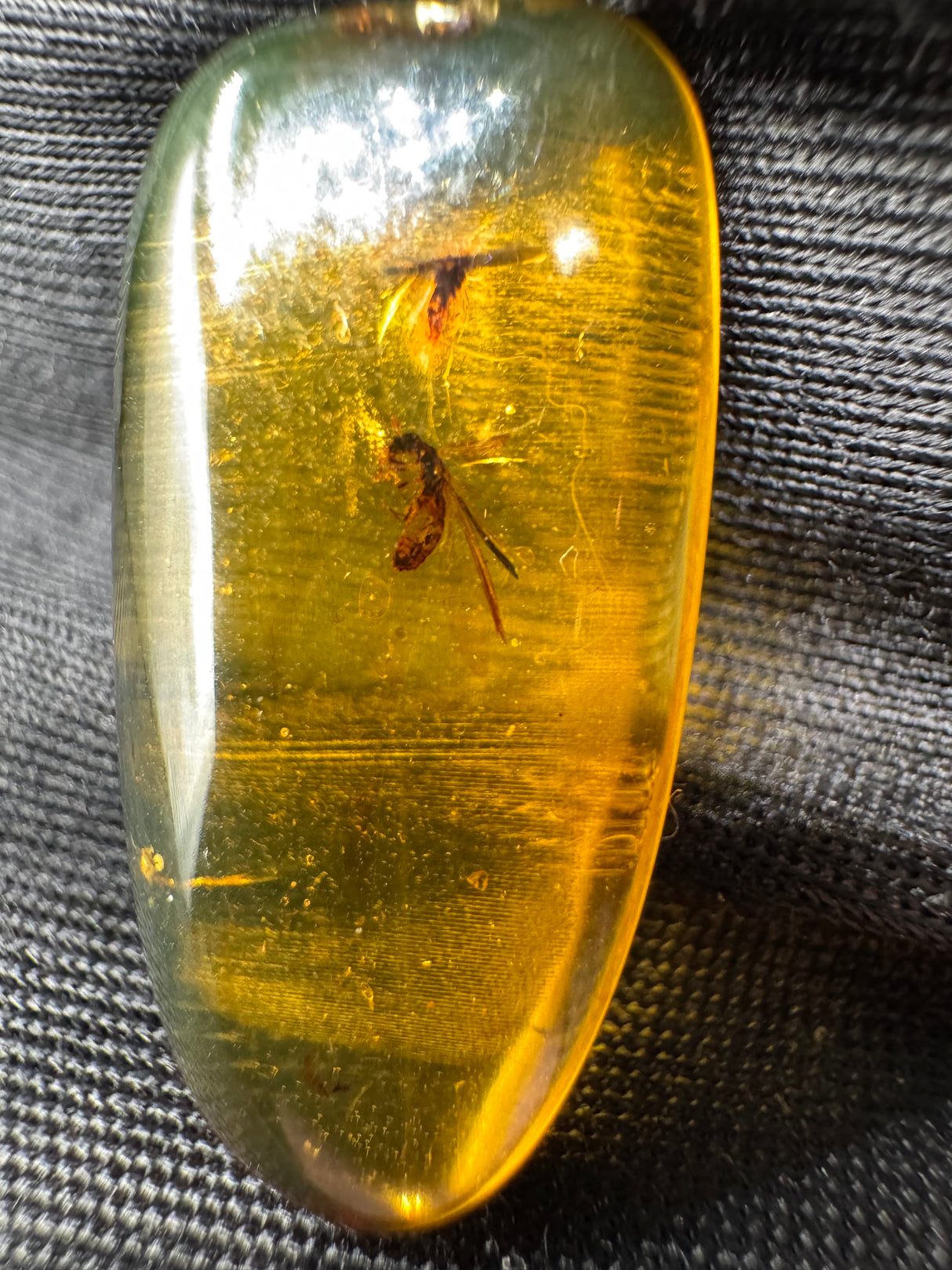 Amber Cabochon - 1.707g