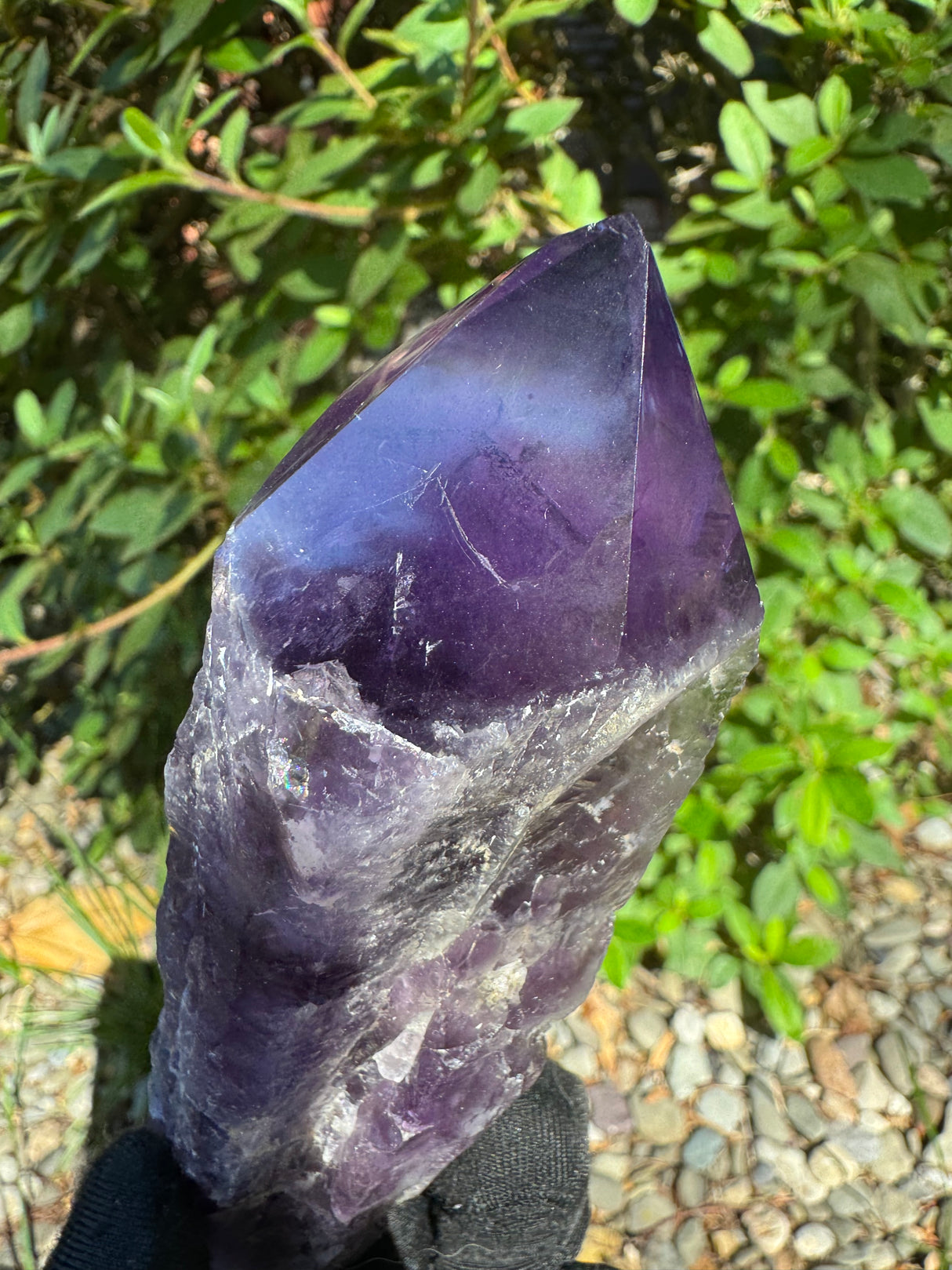 Amethyst Root Specimen - 91g