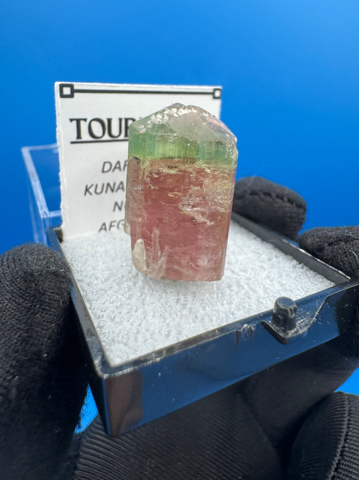 Watermelon Tourmaline Crystal - 9gm