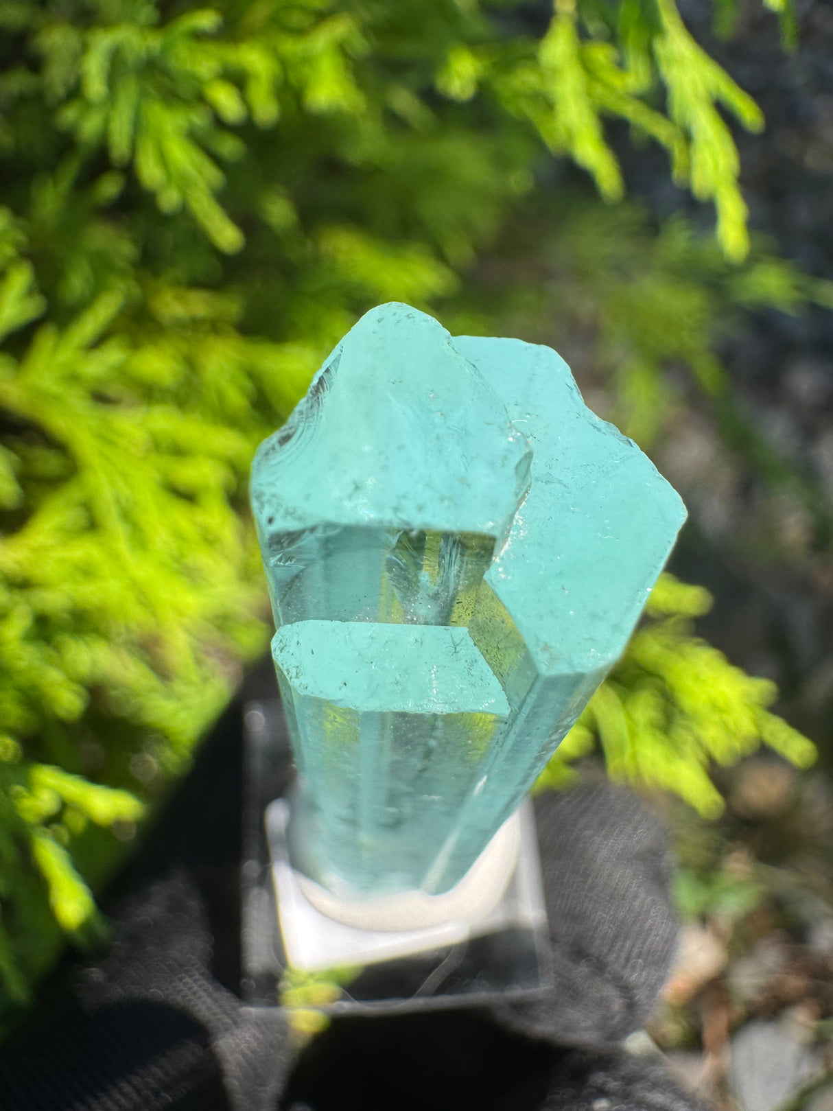 Aquamarine Crystal - 11g