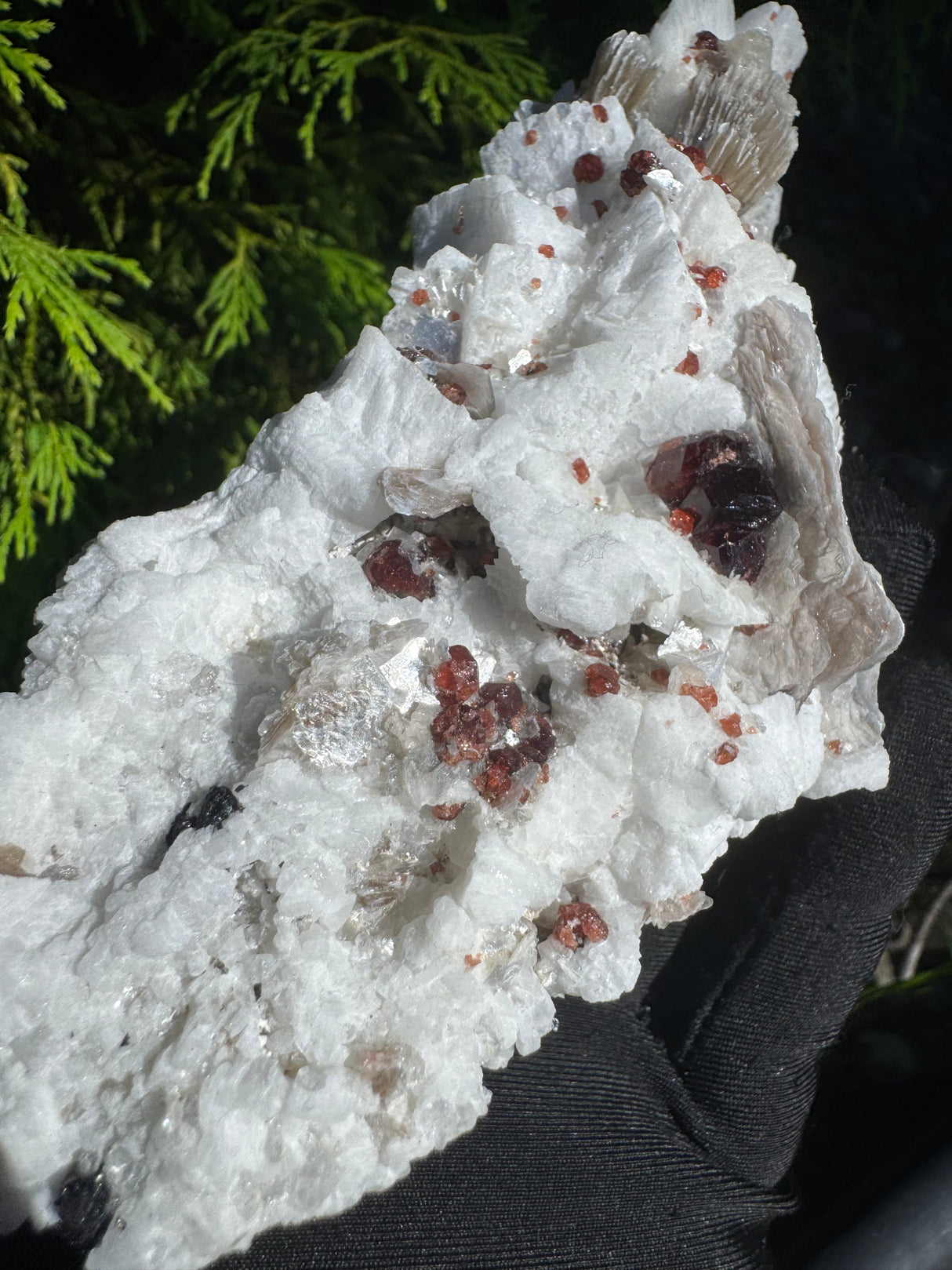 Garnet and Star Mica Specimen - 301g