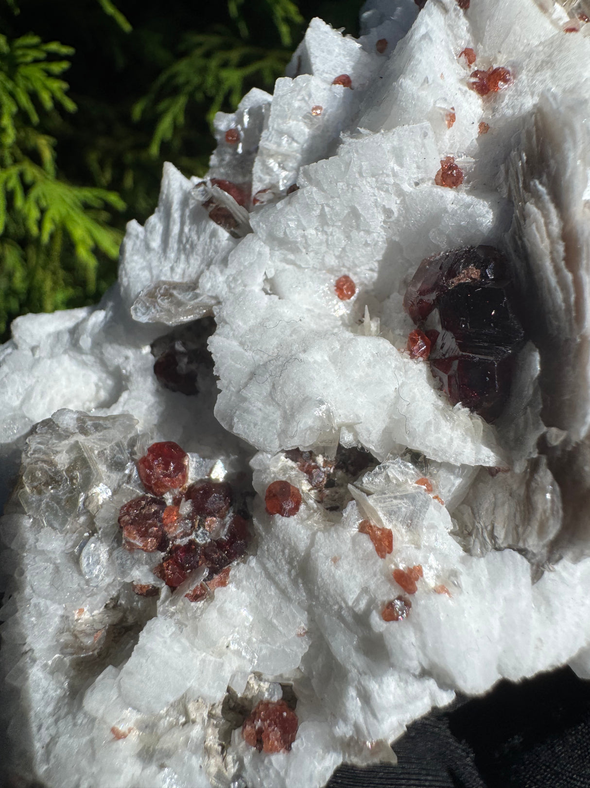 Garnet and Star Mica Specimen - 301g