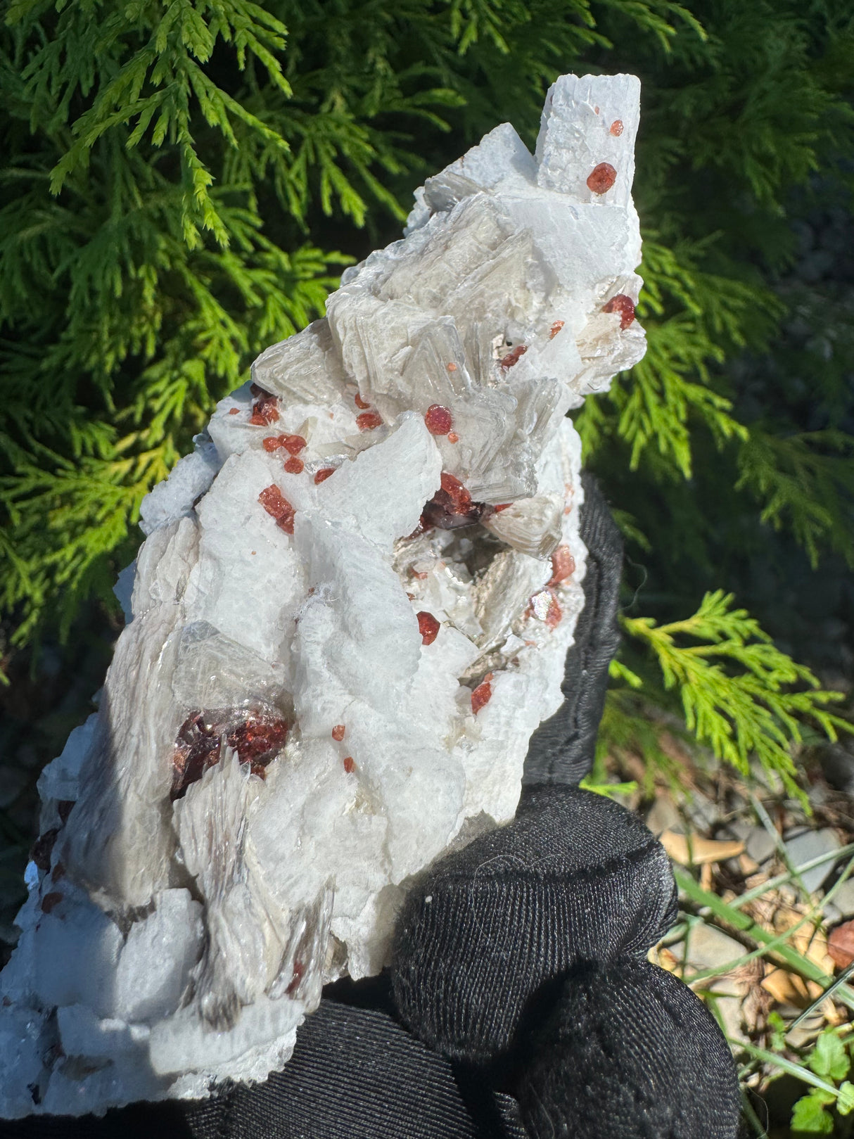 Garnet and Star Mica Specimen - 301g