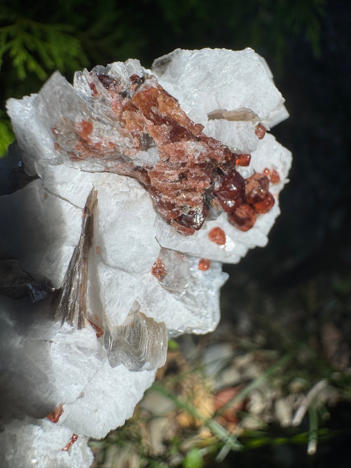 Garnet and Star Mica Specimen - 301g