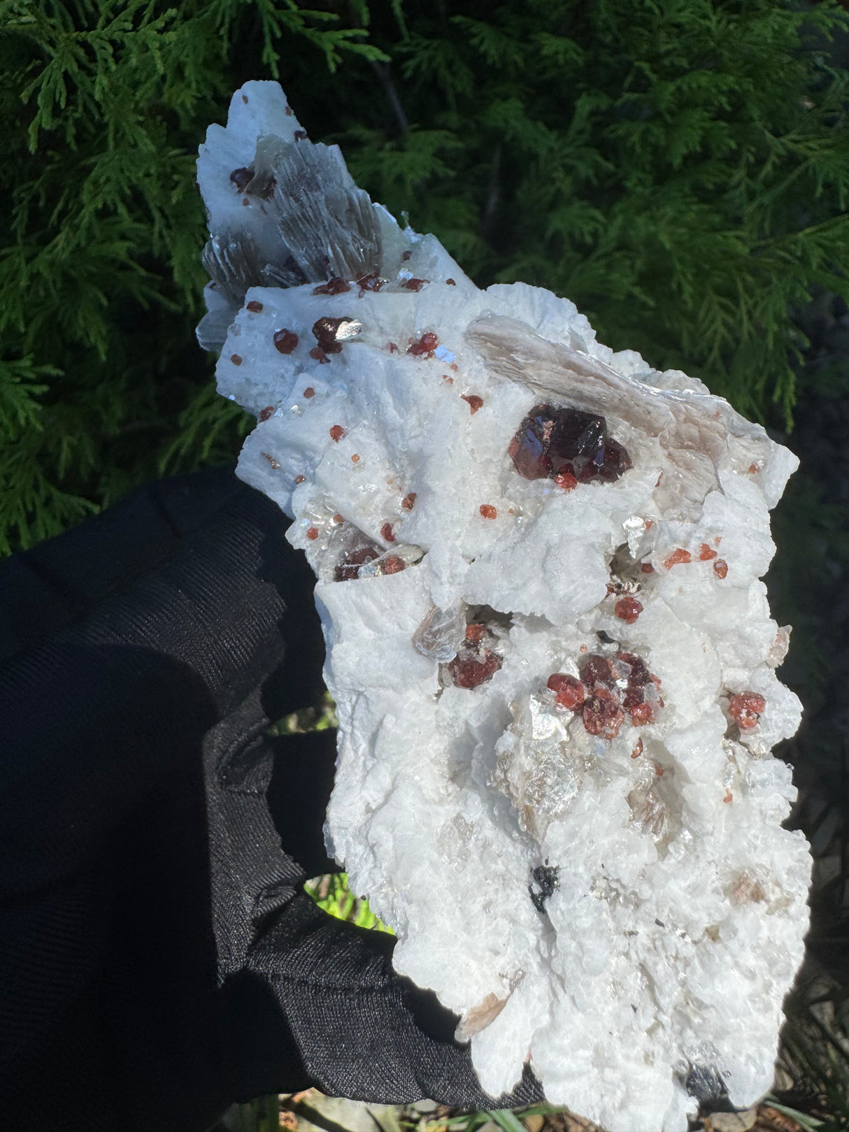 Garnet and Star Mica Specimen - 301g